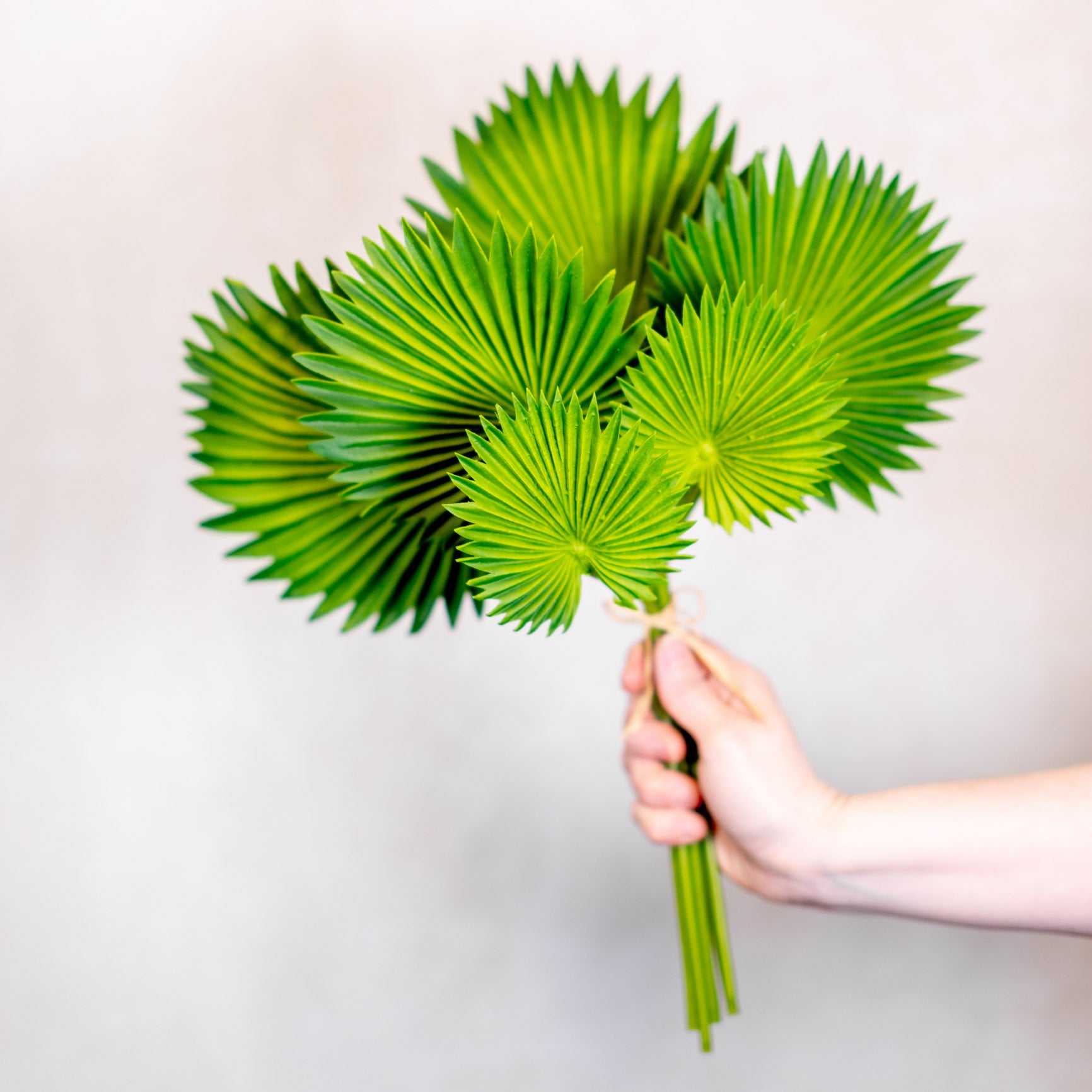 Real Touch Fan Palm Leaf Bundle