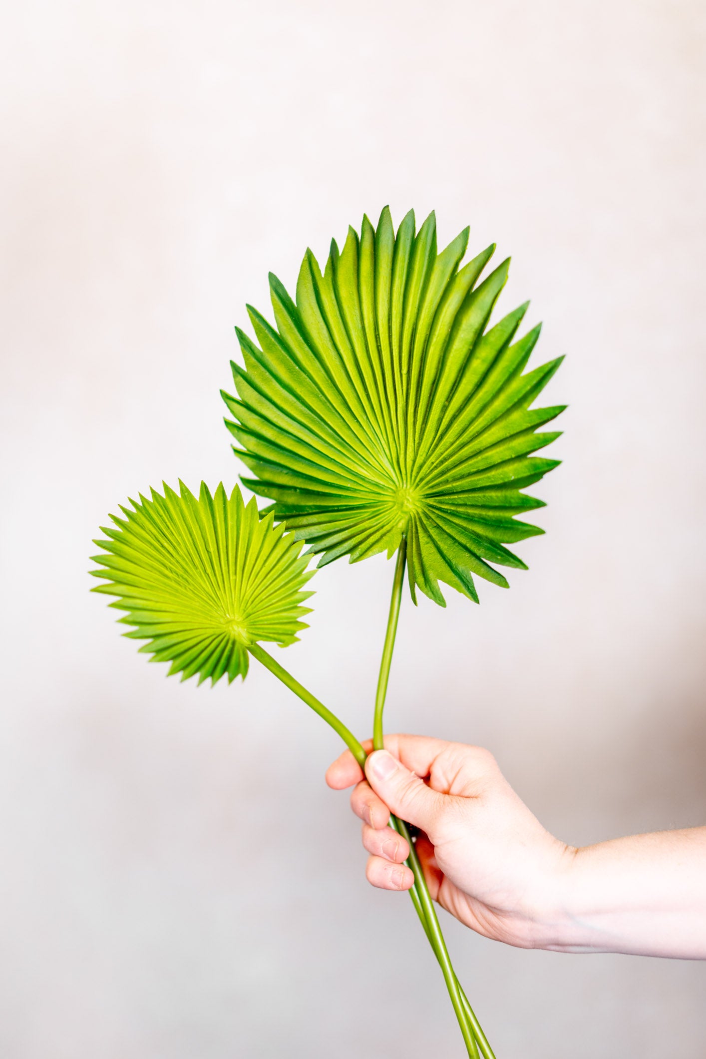 Real Touch Fan Palm Leaf Bundle