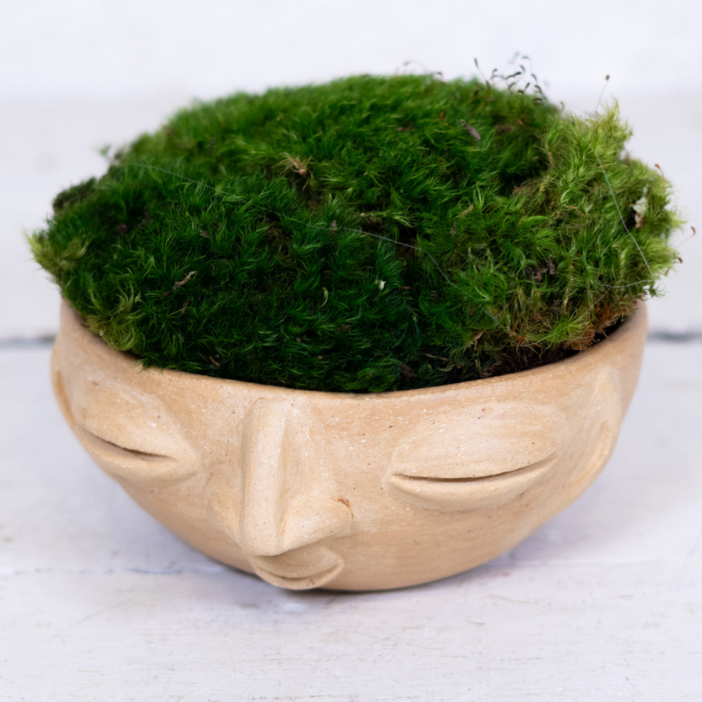Mood Blanco Bowl
