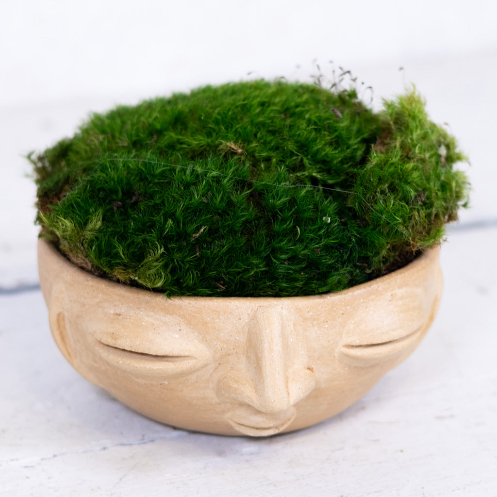 Mood Blanco Bowl