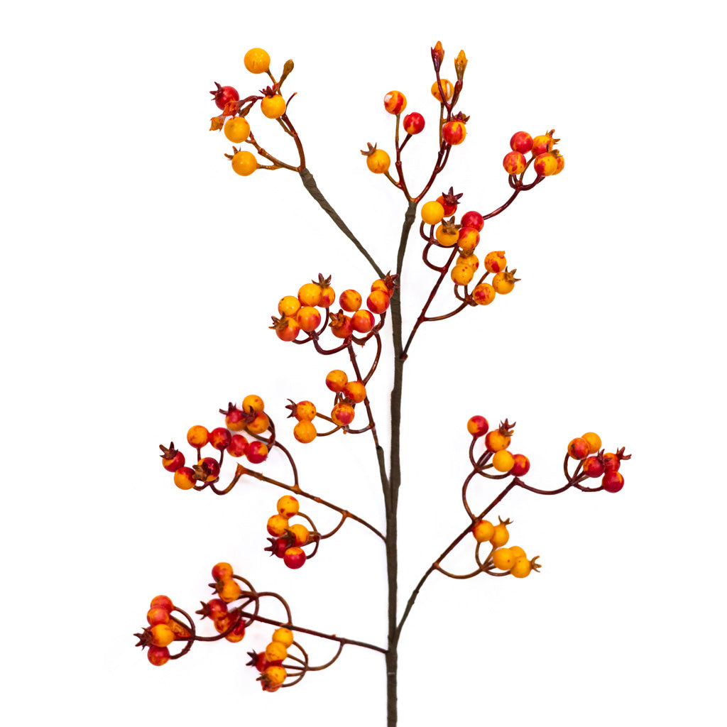 Orange Rosehip Berry Spray