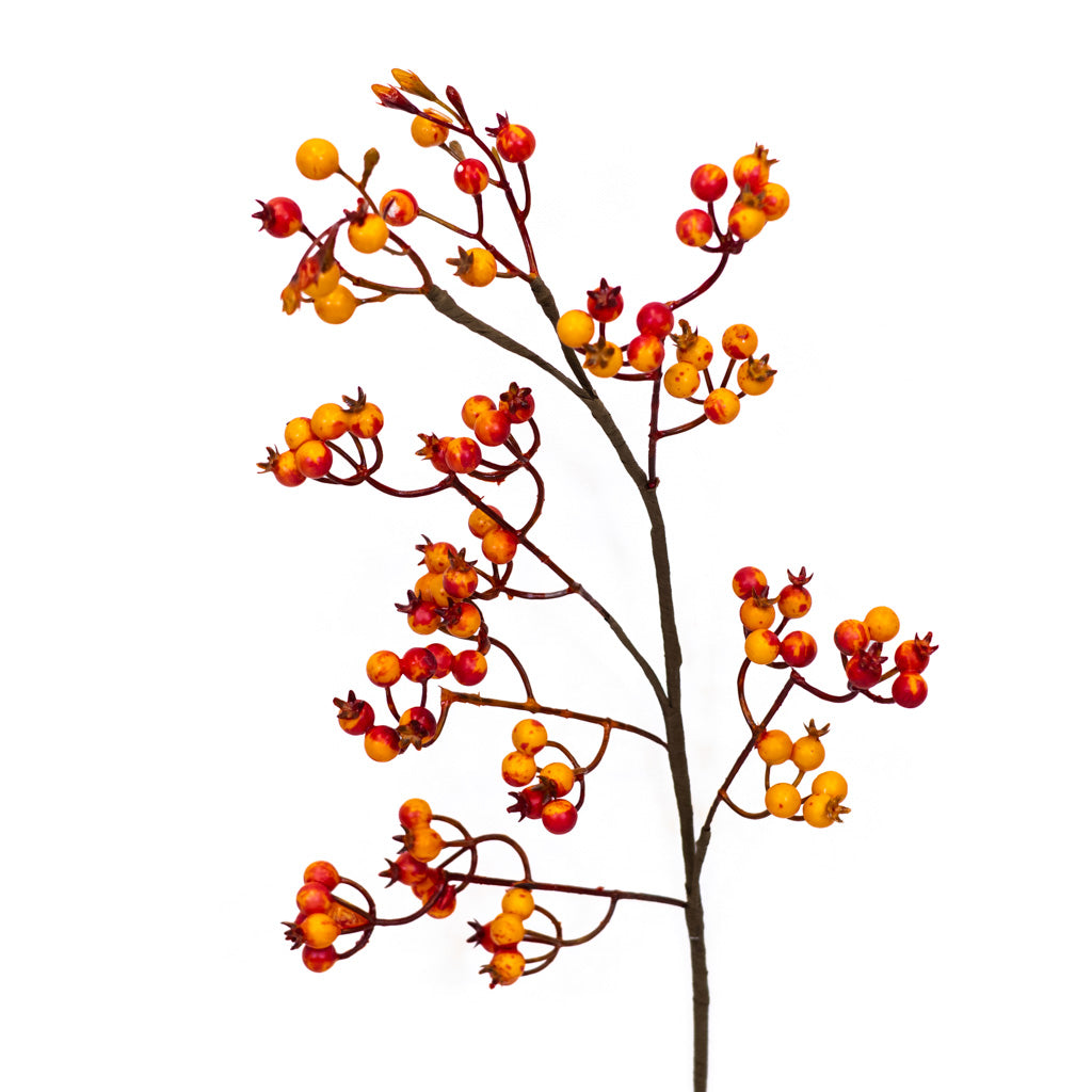Orange Rosehip Berry Spray