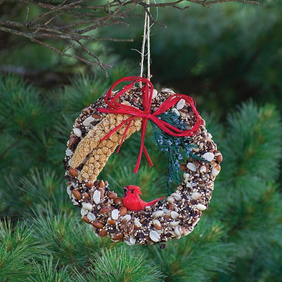 Rustic Birdseed Wreath