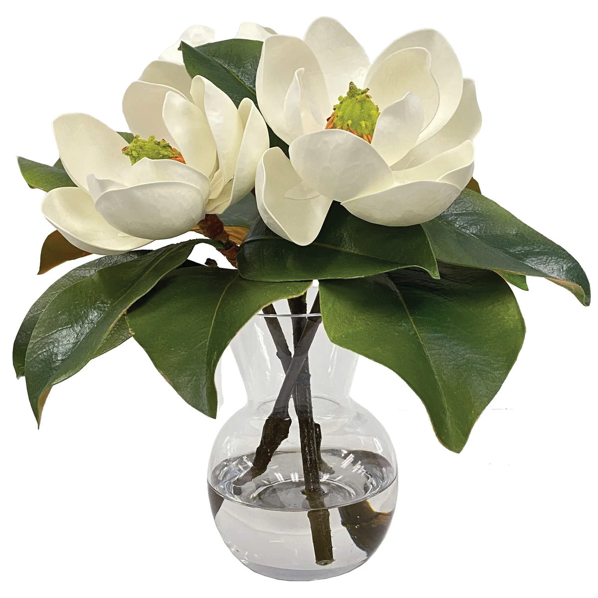 Magnolia in Vase 13"