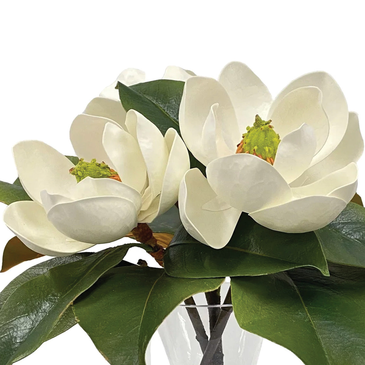 Magnolia in Vase 13"