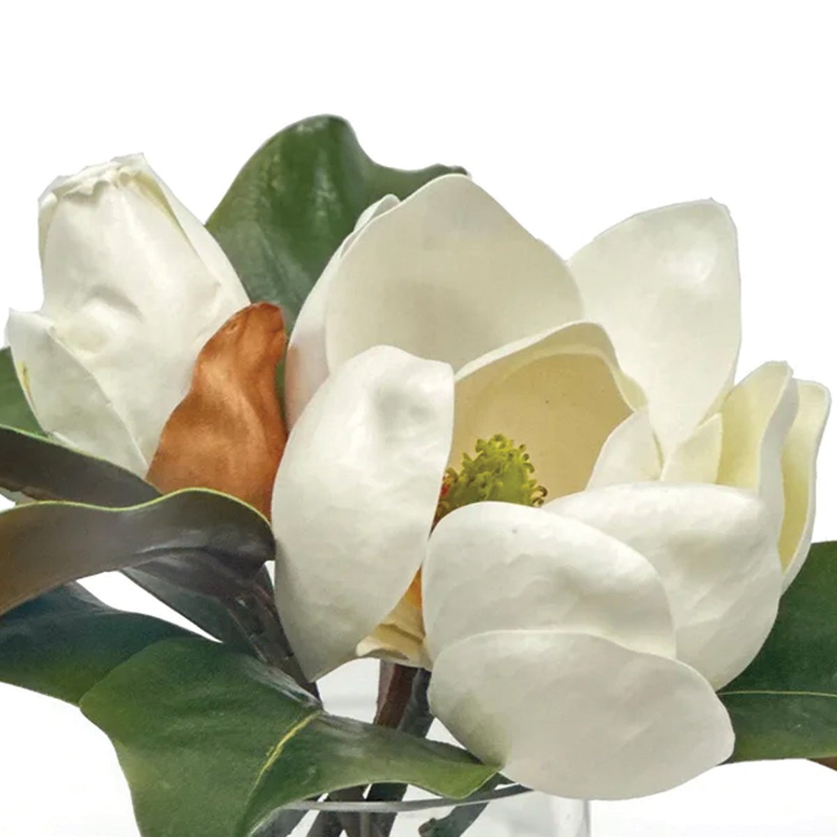 Magnolia In Vase 9.5"