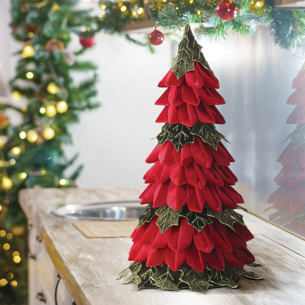 Velvet Holly Leaf Cone Tree
