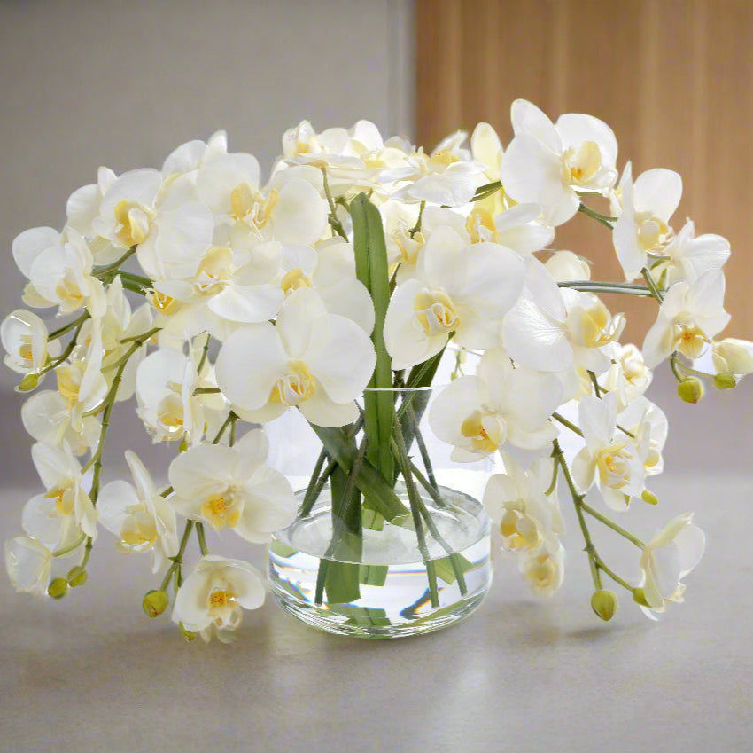 White Phalaenopsis Orchid in Glass