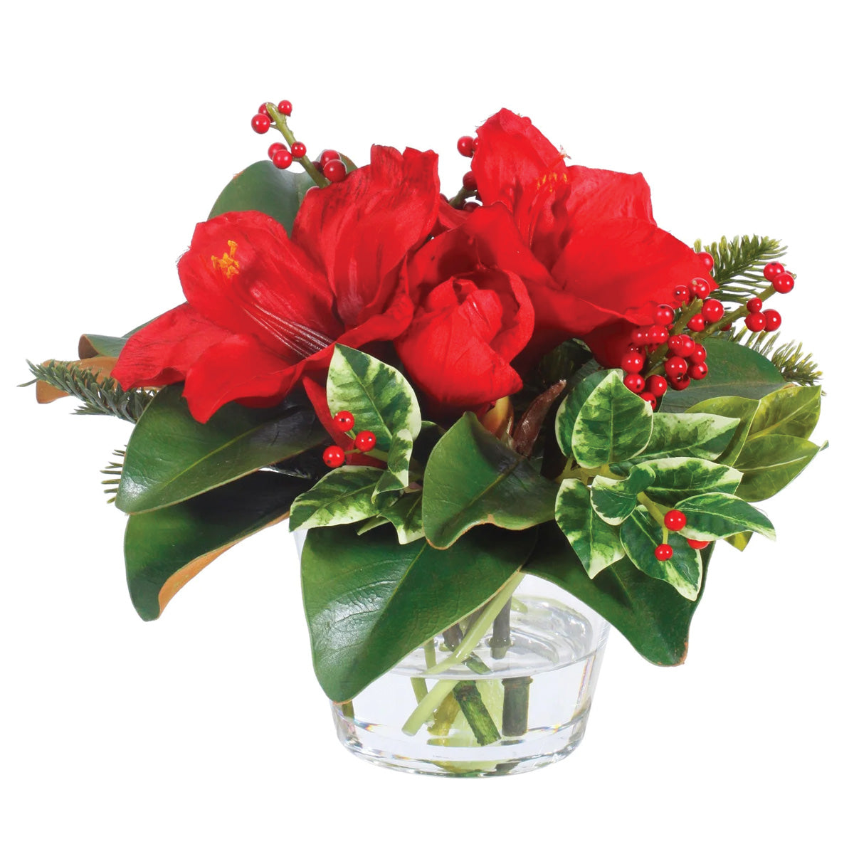 Red Holiday Amaryllis and Holly in Vase Petite