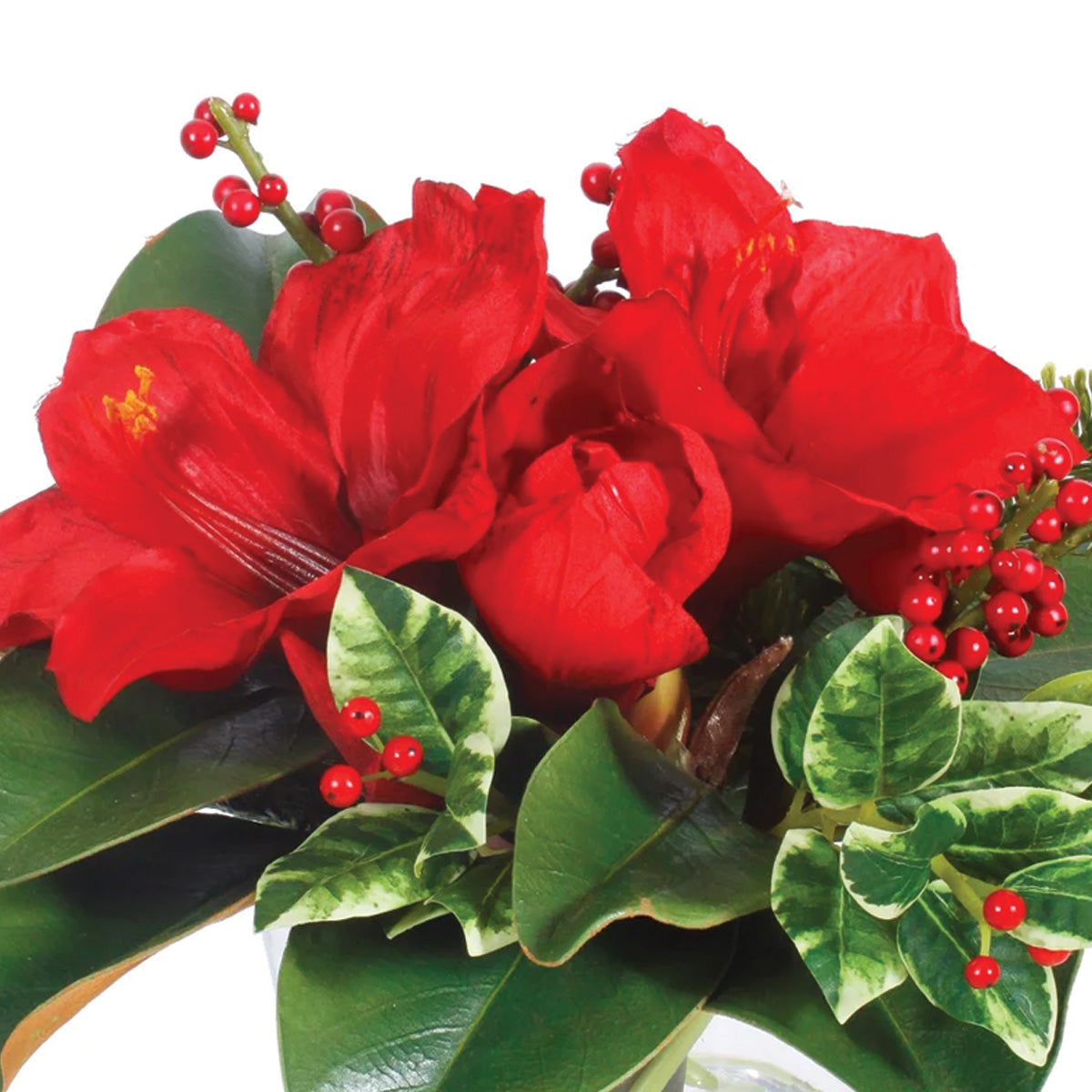 Red Holiday Amaryllis and Holly in Vase Petite