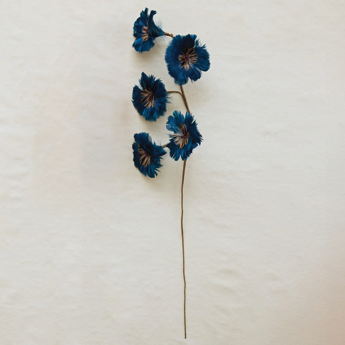 Blue Feather Flower Stem