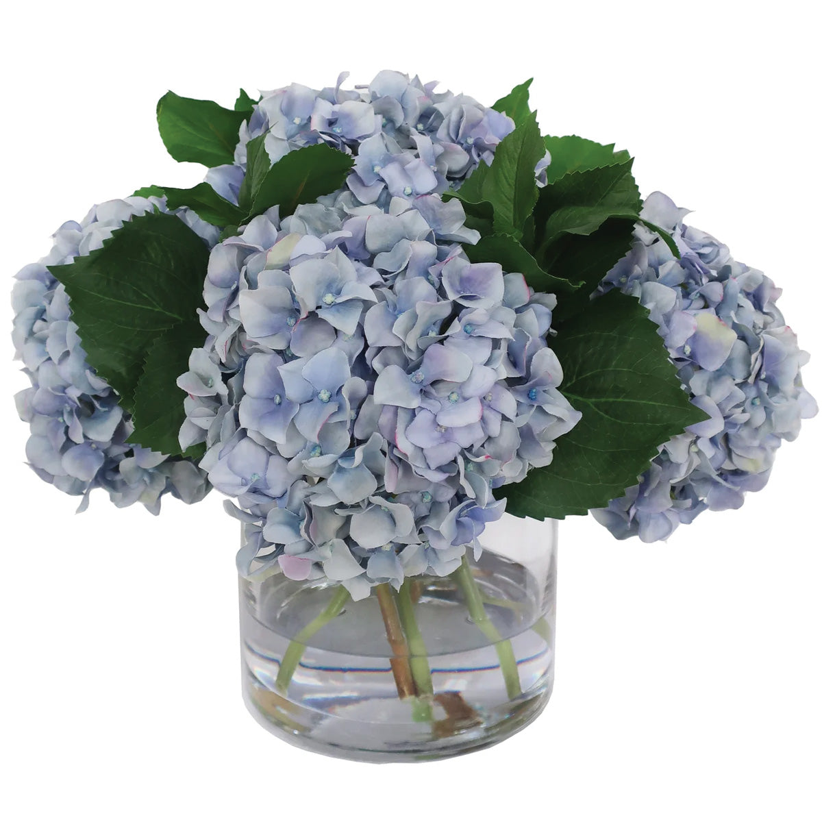Blue Hydrangea In Vase