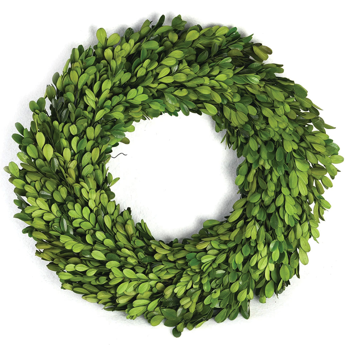 Boxwood Wreath 24"