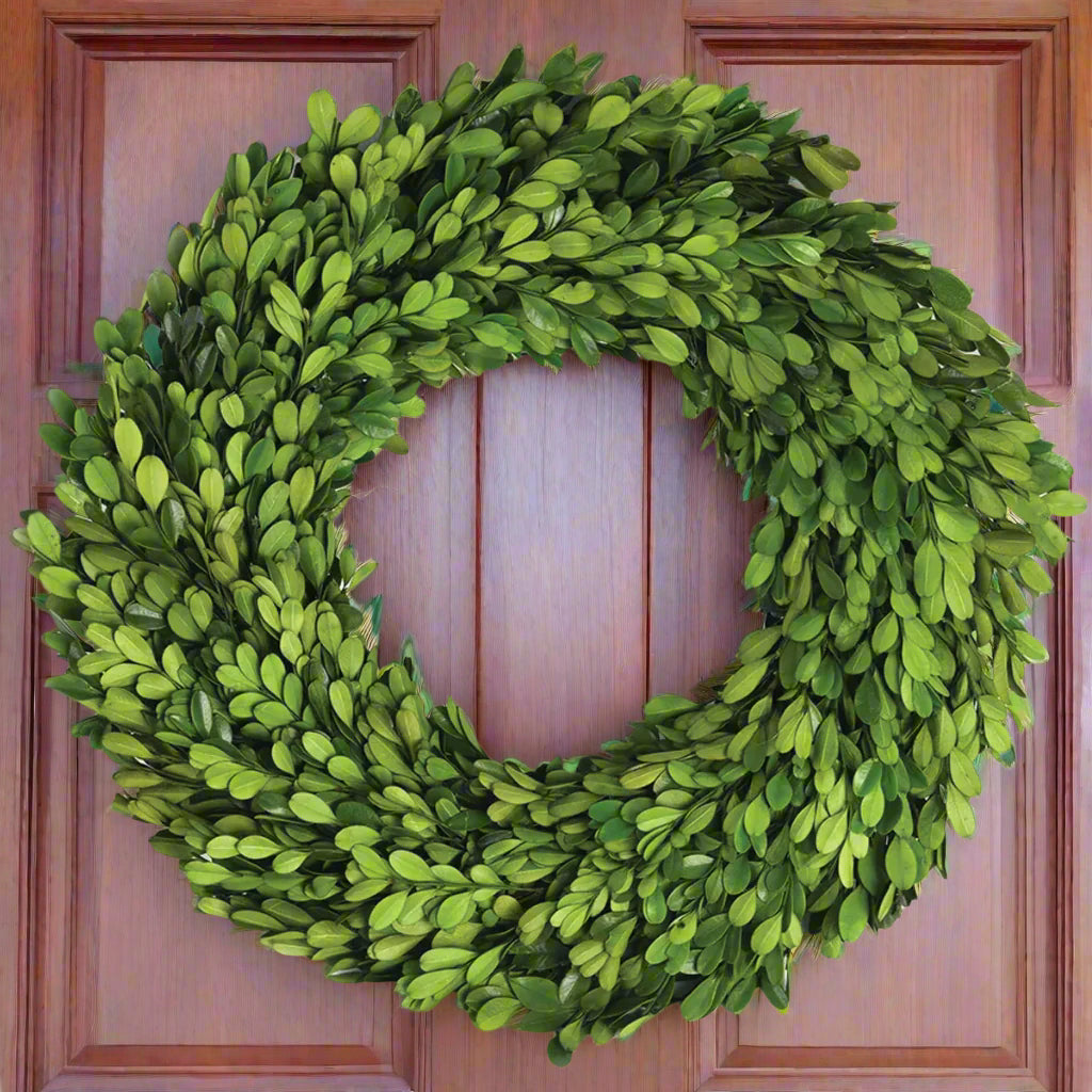 Boxwood Wreath 24"