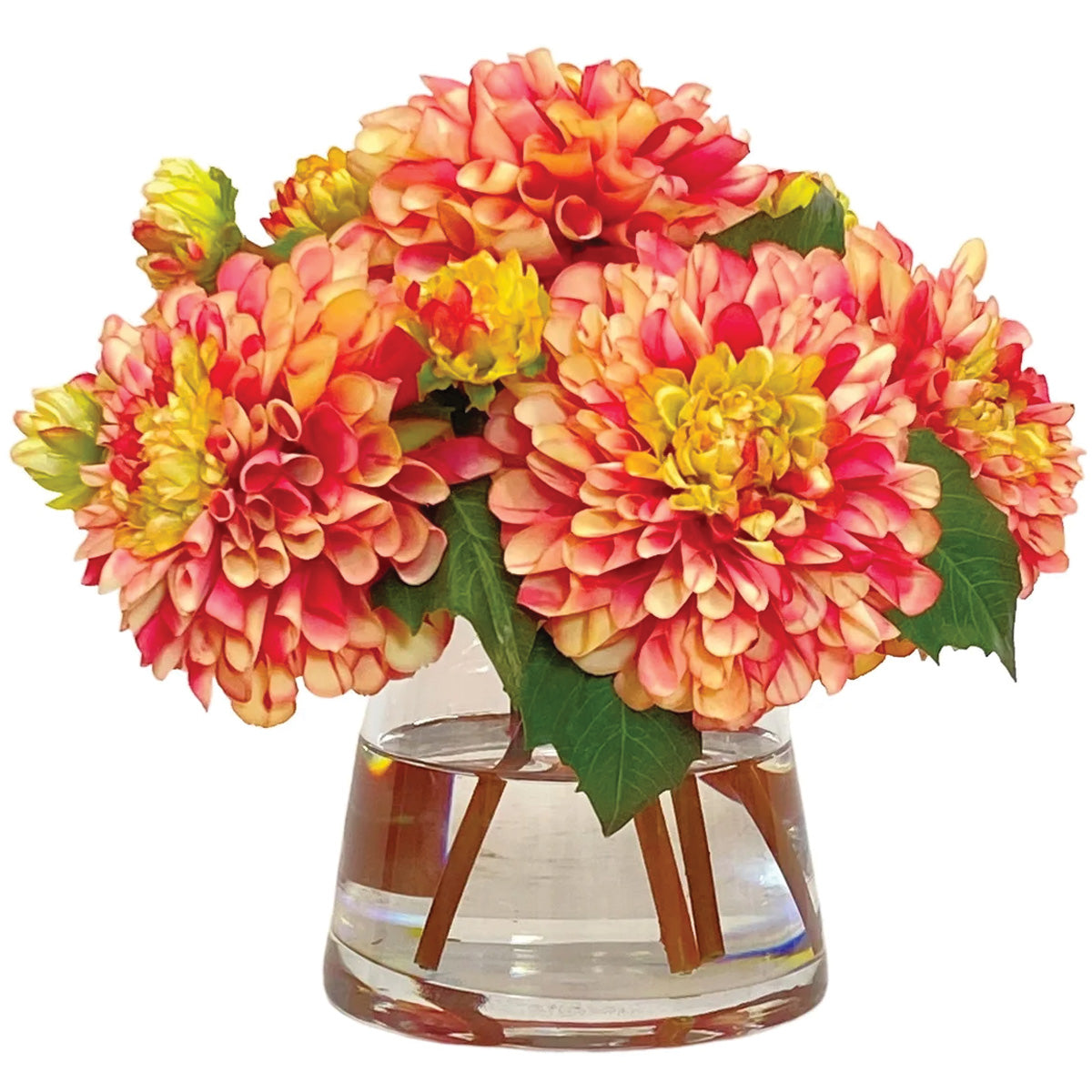 Dahlias in Glass Vase