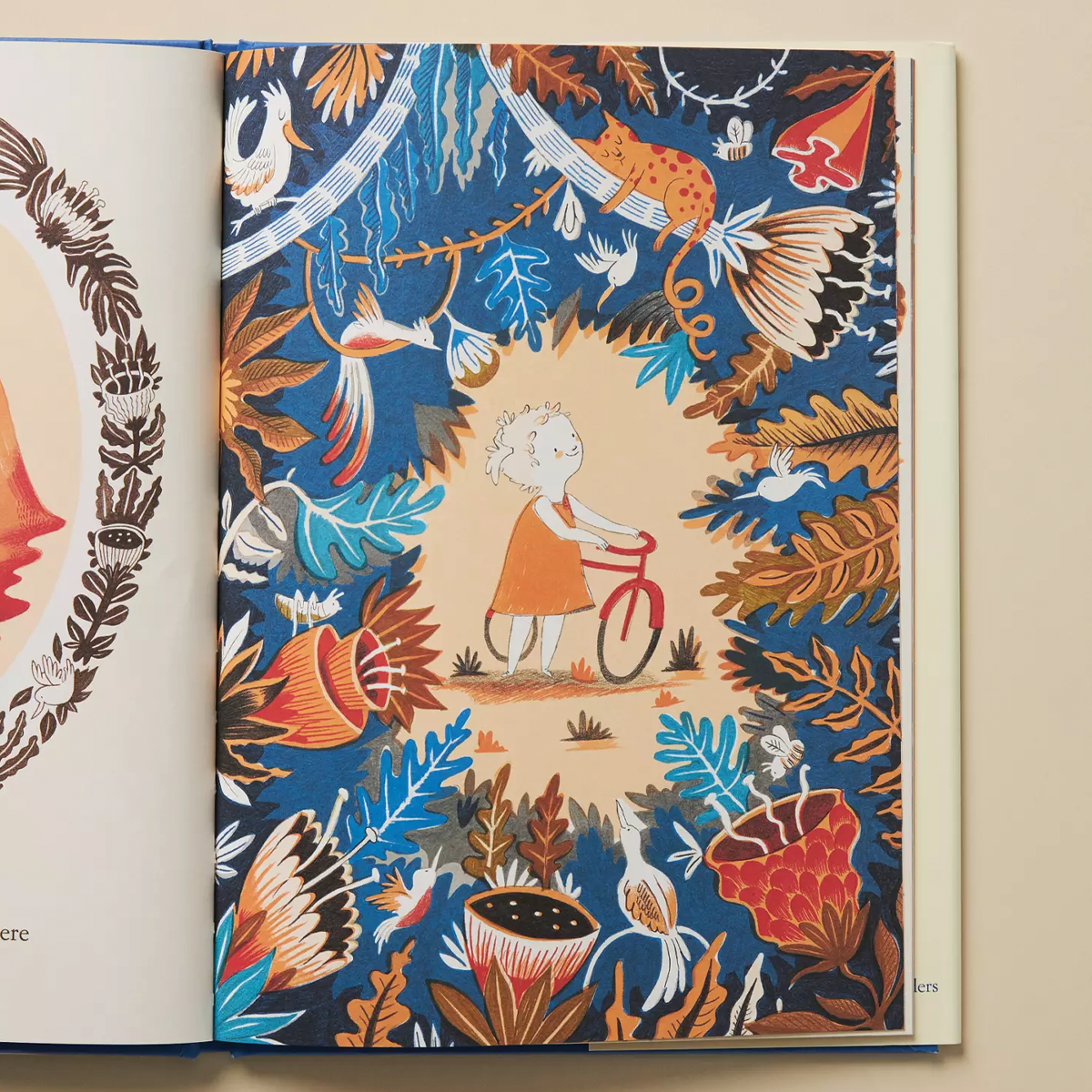 If I Had A Little Dream Storybook