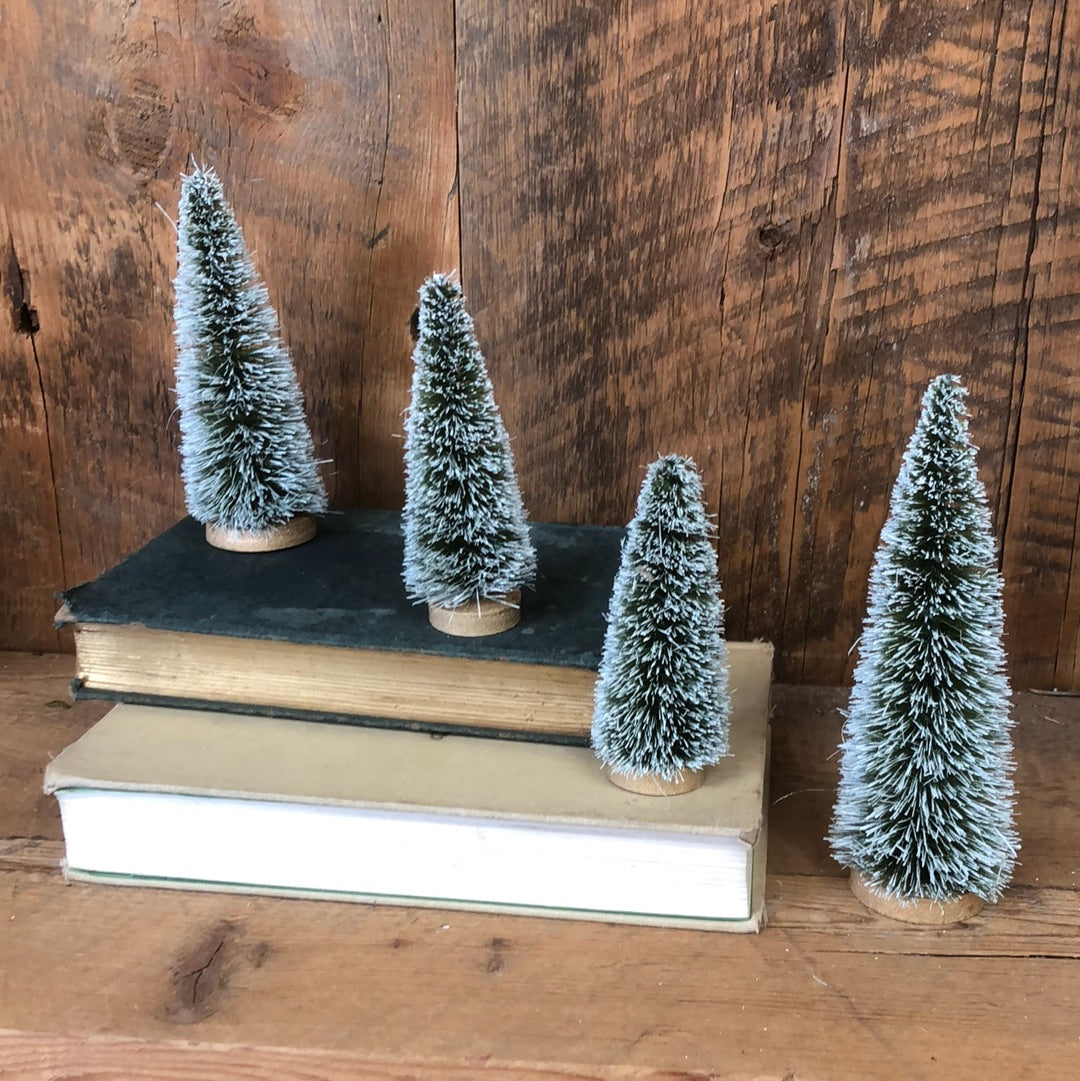 Boxed Set of Four Sisal Bottle Brush Trees with Snow