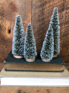 Boxed Set of Four Sisal Bottle Brush Trees with Snow