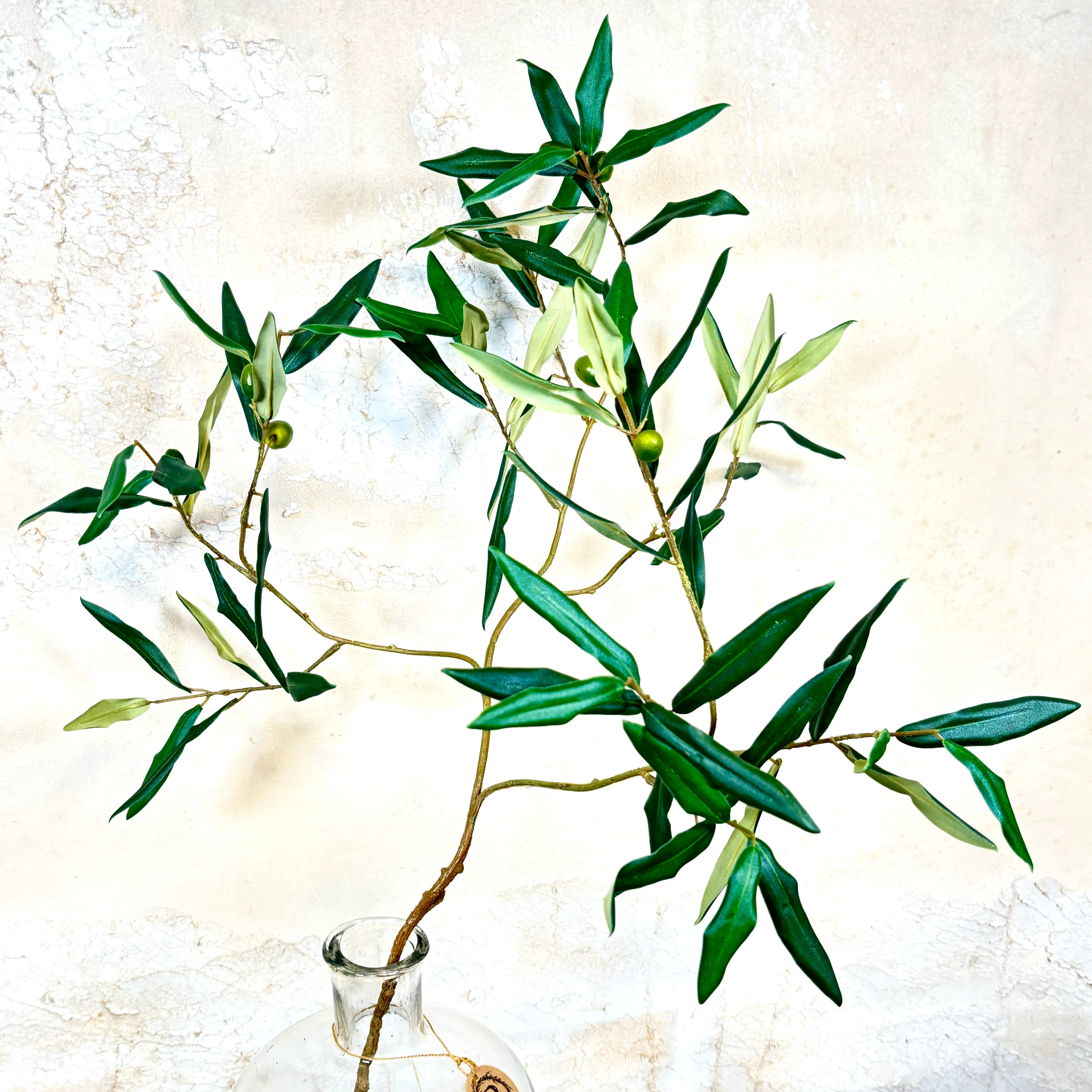 Italian Olive Spray Stem