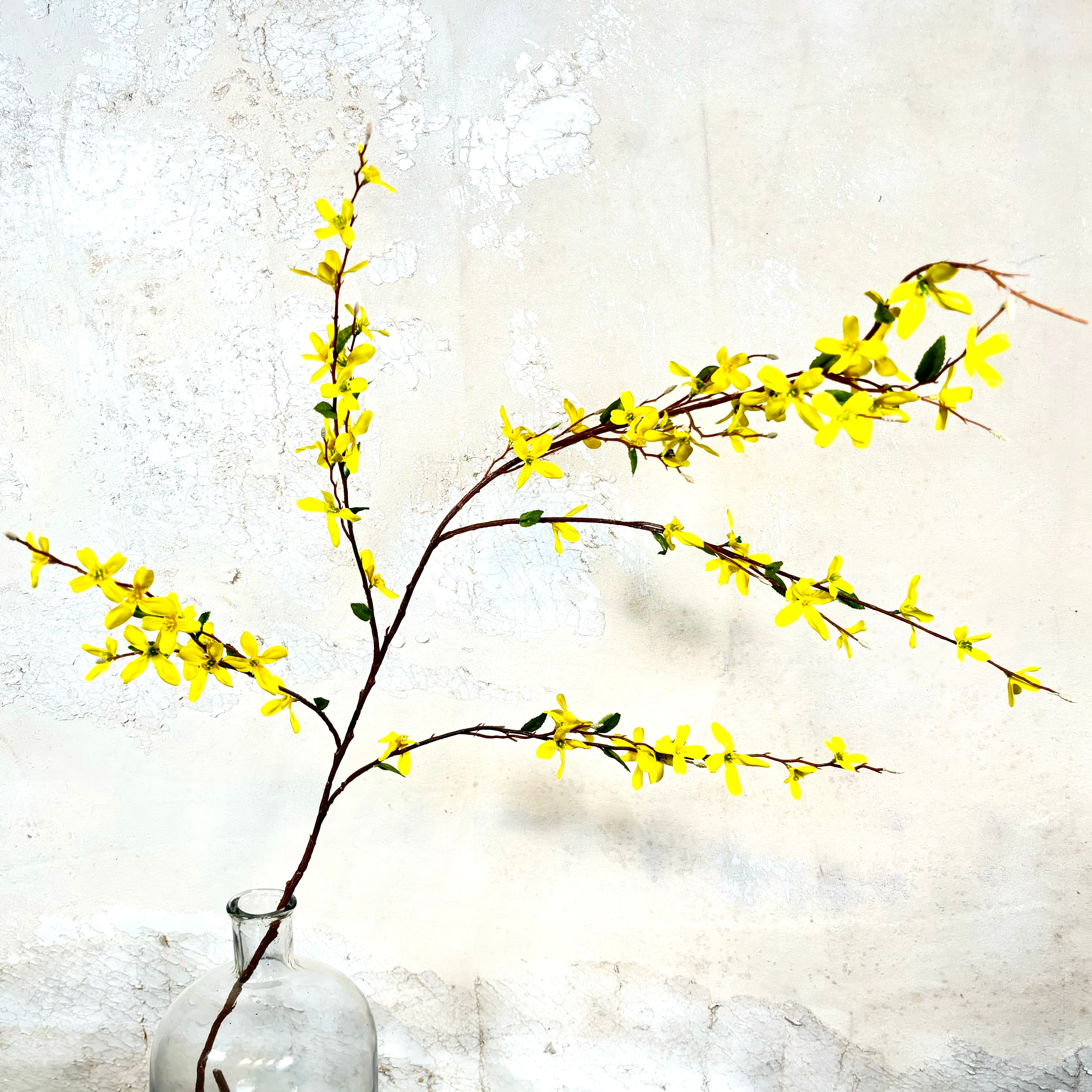 Forsythia Branch Yellow