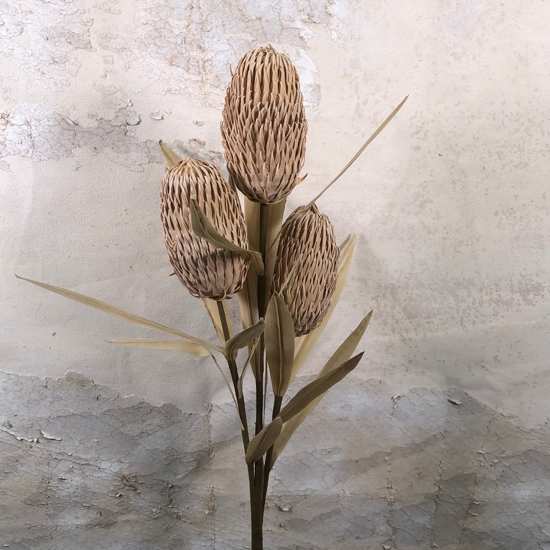 Foam Cone Protea Tan