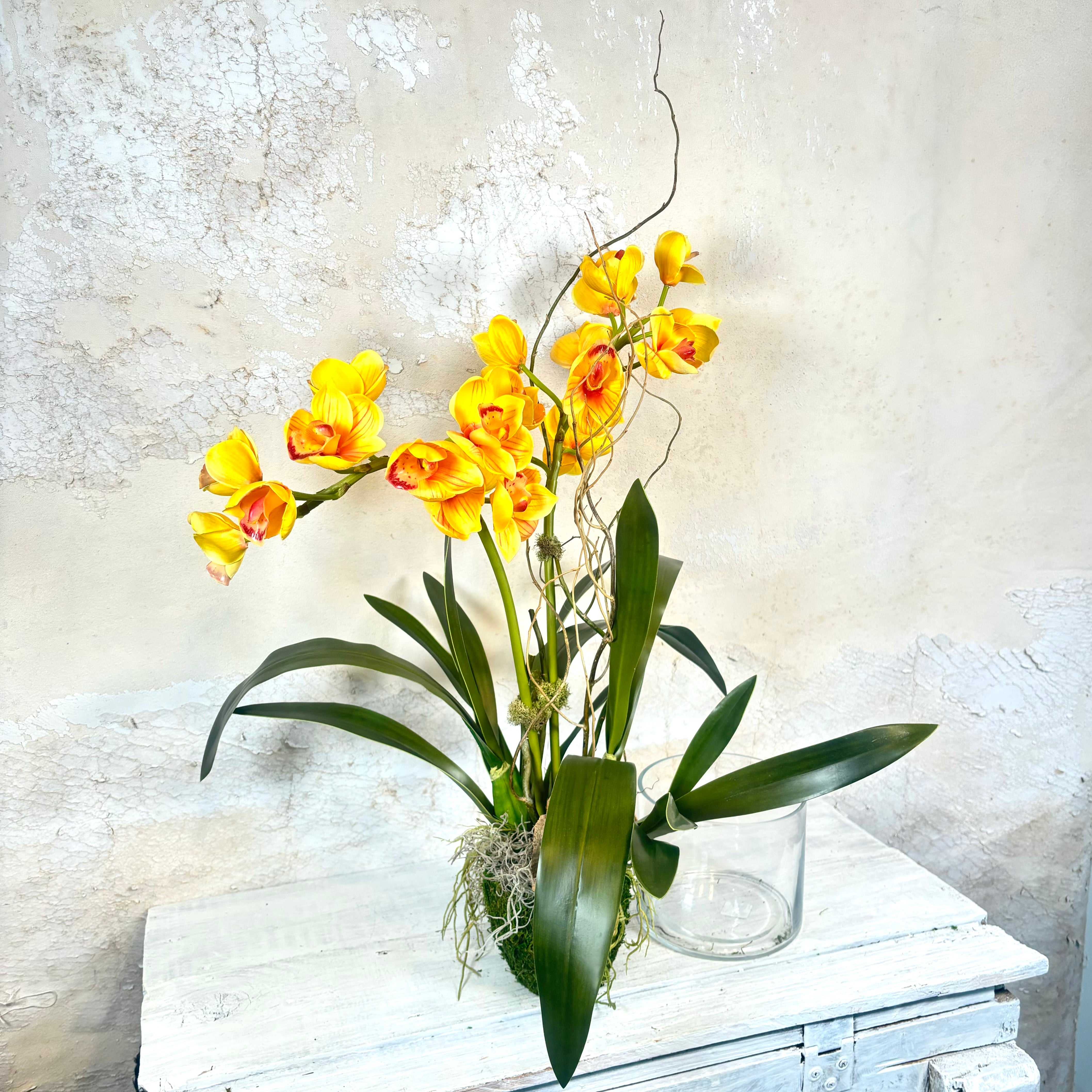 Double Yellow Cymbidium Orchid Drop In