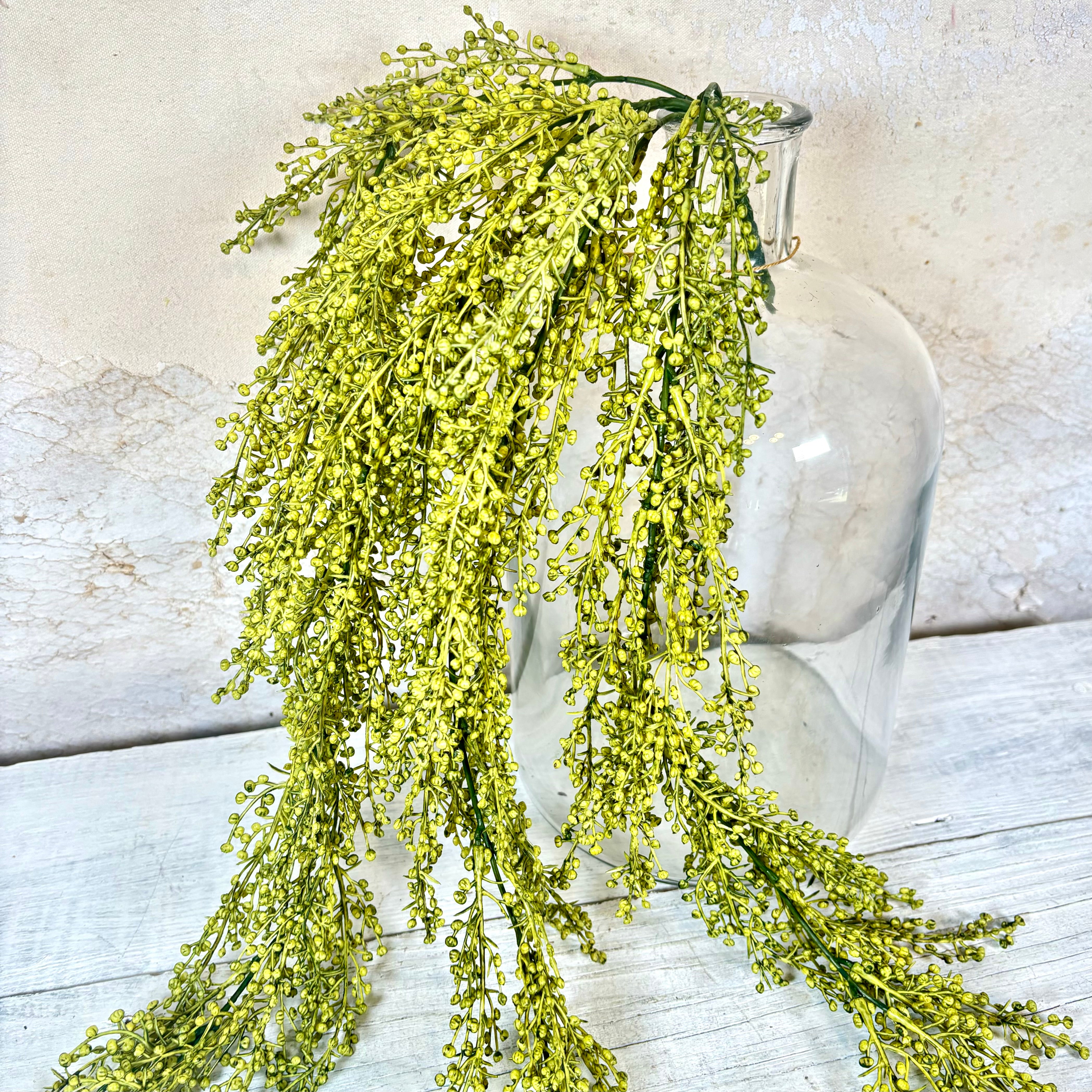 Berries Hanging Vine Green