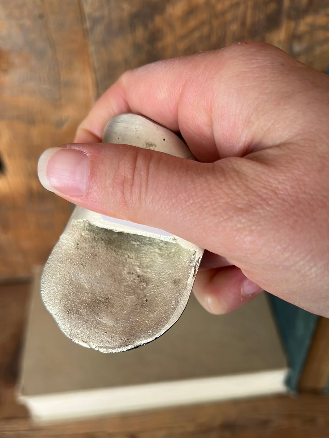 Oyster Shell Bottle Opener Brass Silver