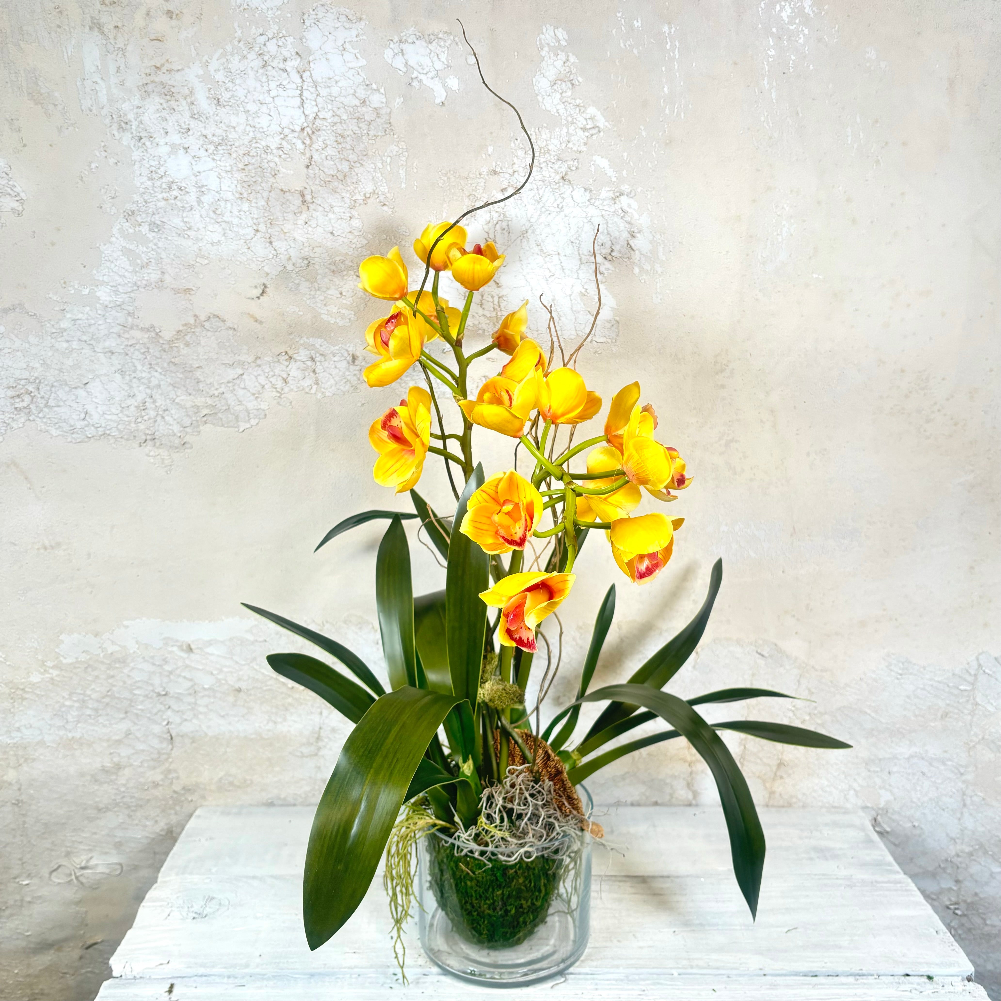 Double Yellow Cymbidium Orchid Drop In