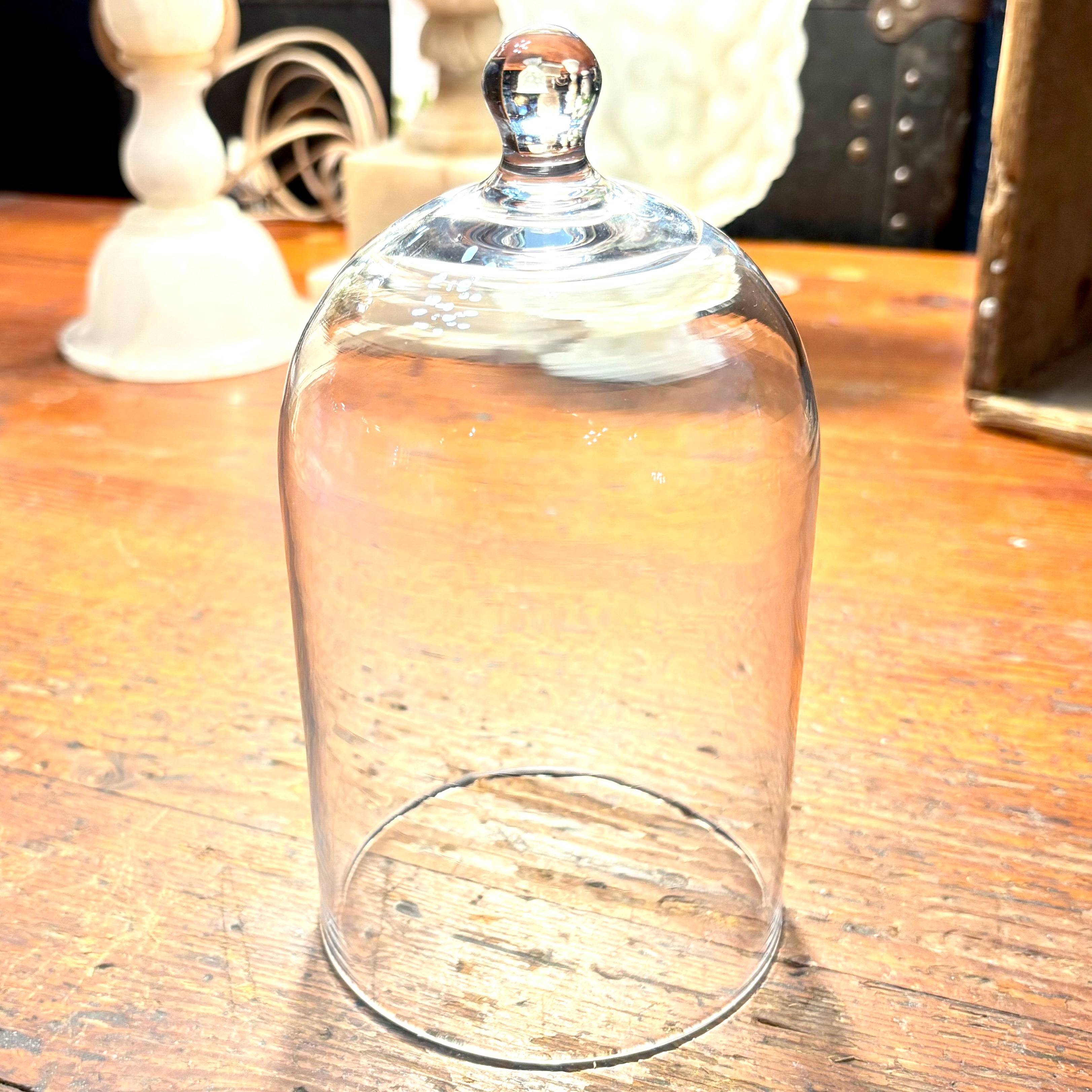 Small Glass Cloche