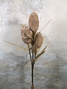 Foam Cone Protea Tan