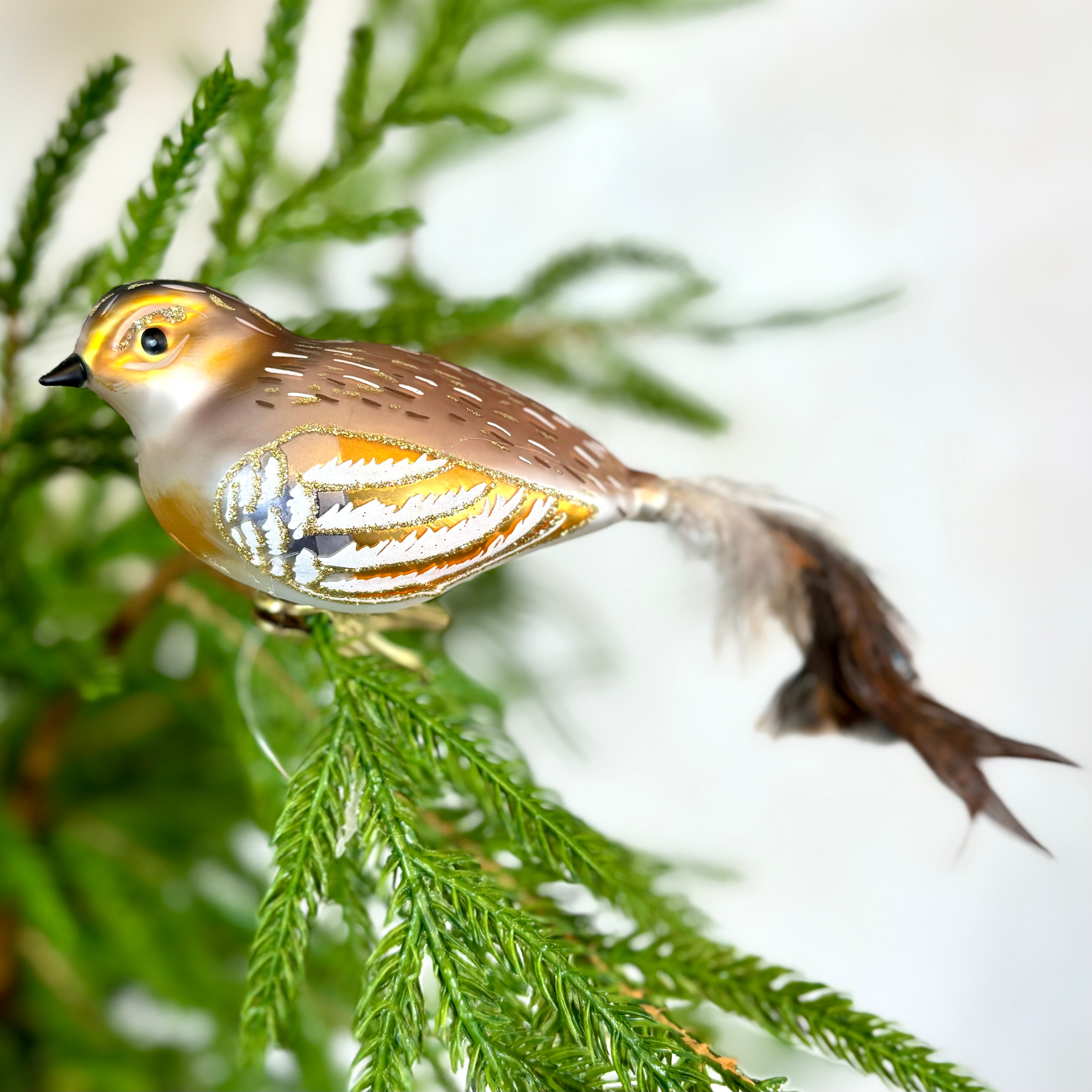 Clip-On Feathered Tail Bird Ornament