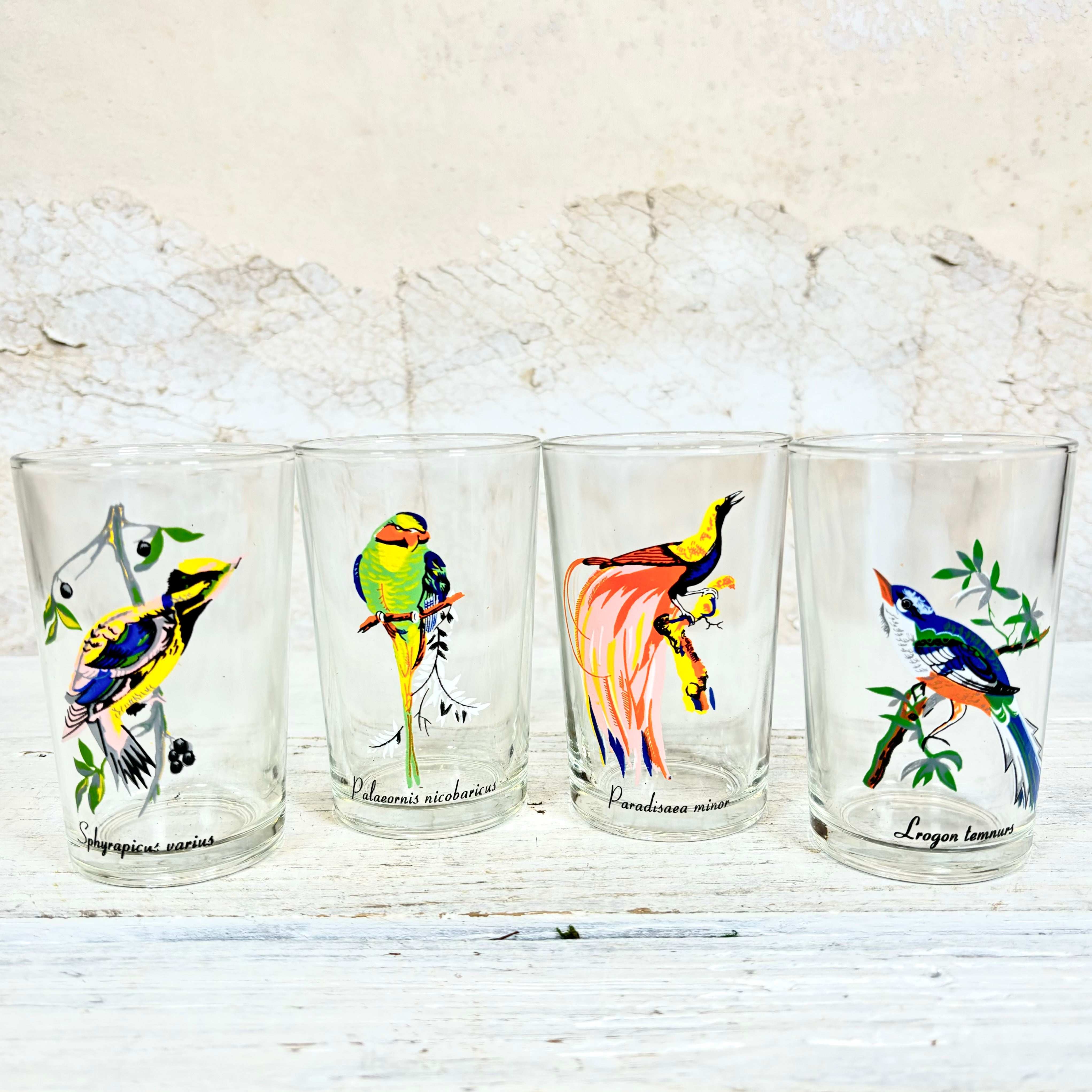 Vintage KIG Malaysia Exotic Bird Glasses Set of Four