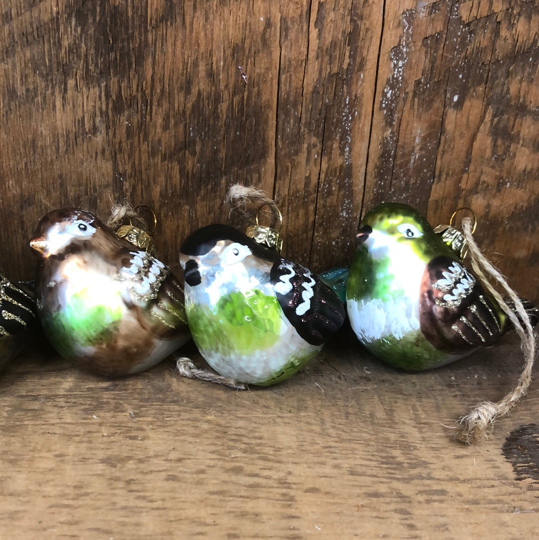 Glass Bird Ornaments Assorted Box of Six