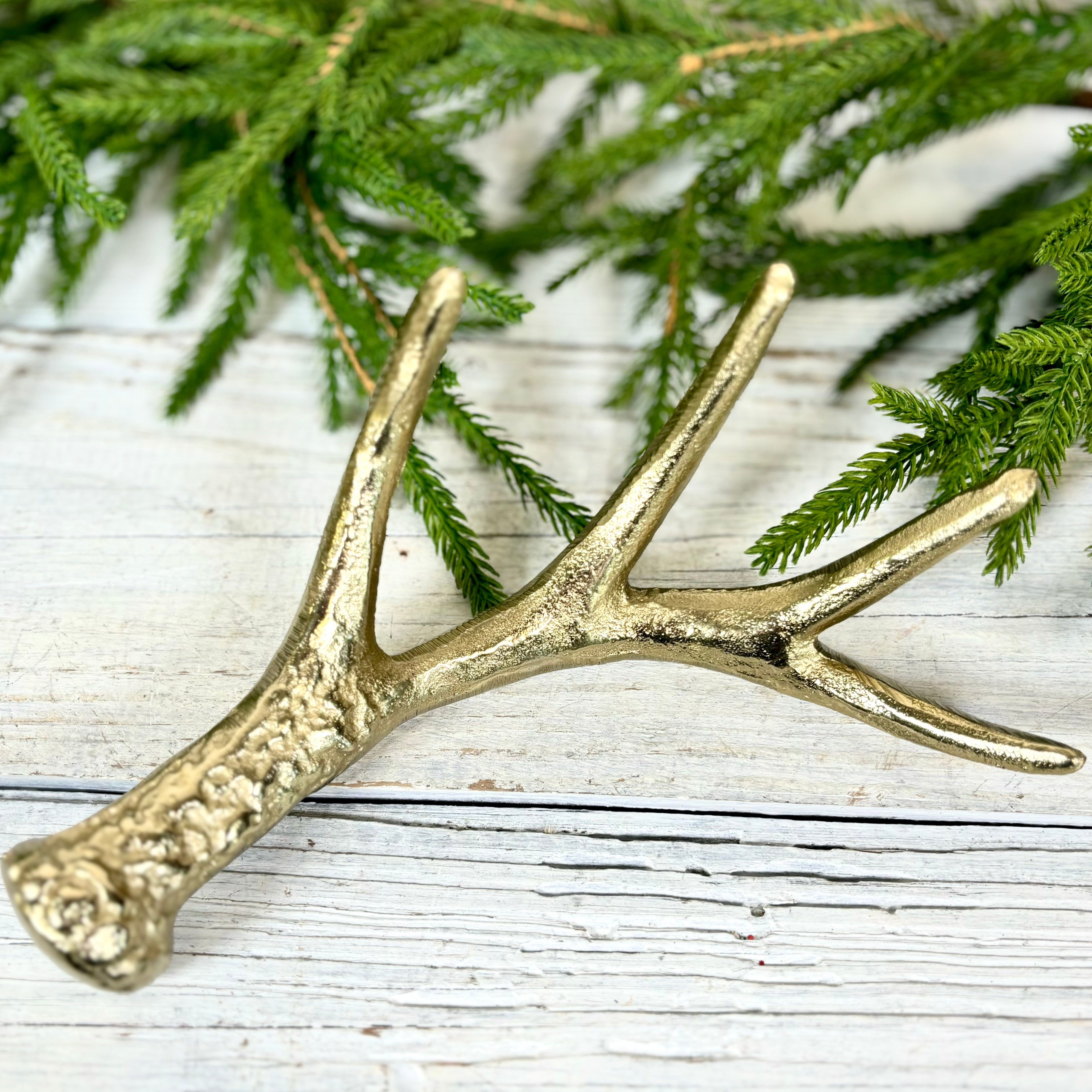 Gold Antler Medium