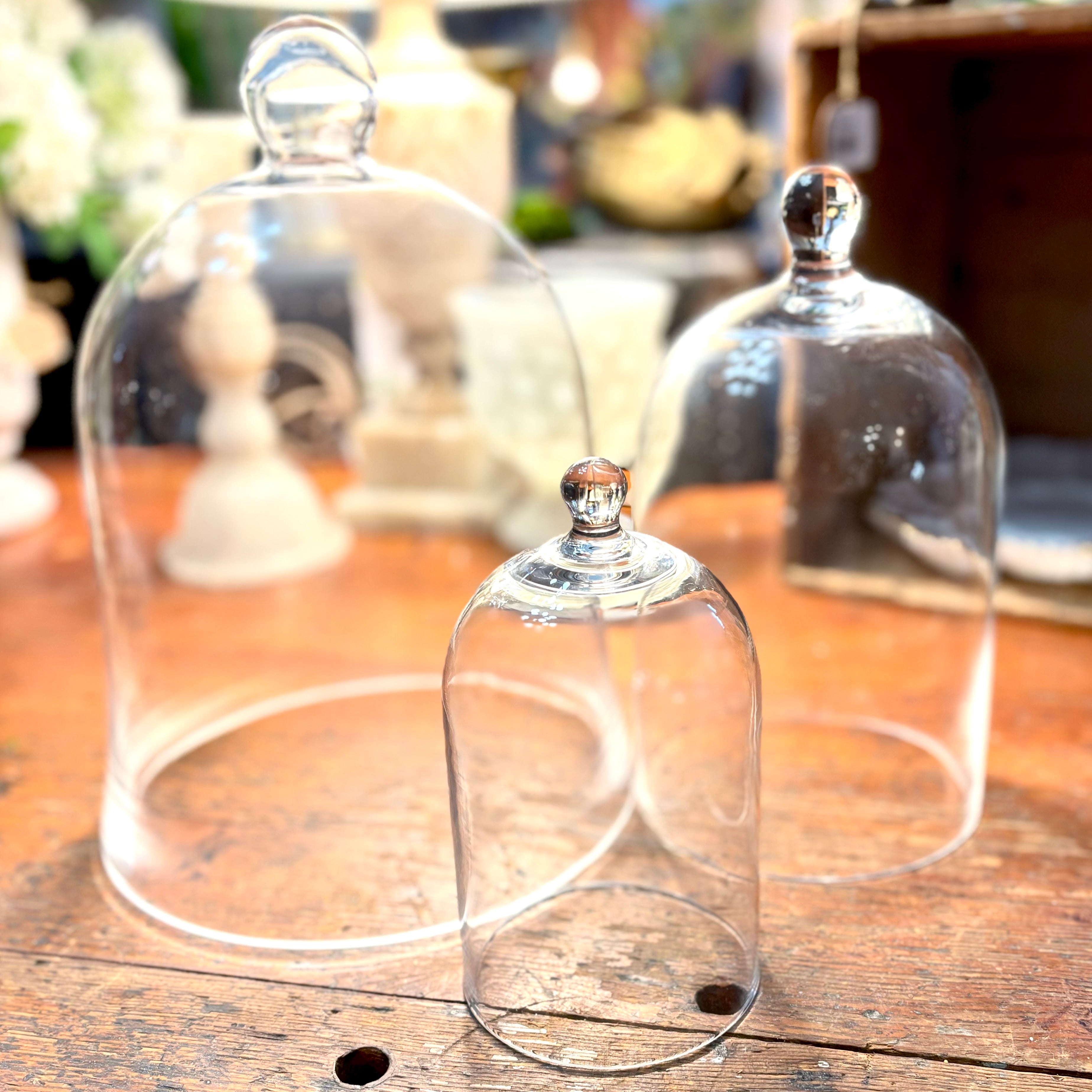 Small Glass Cloche