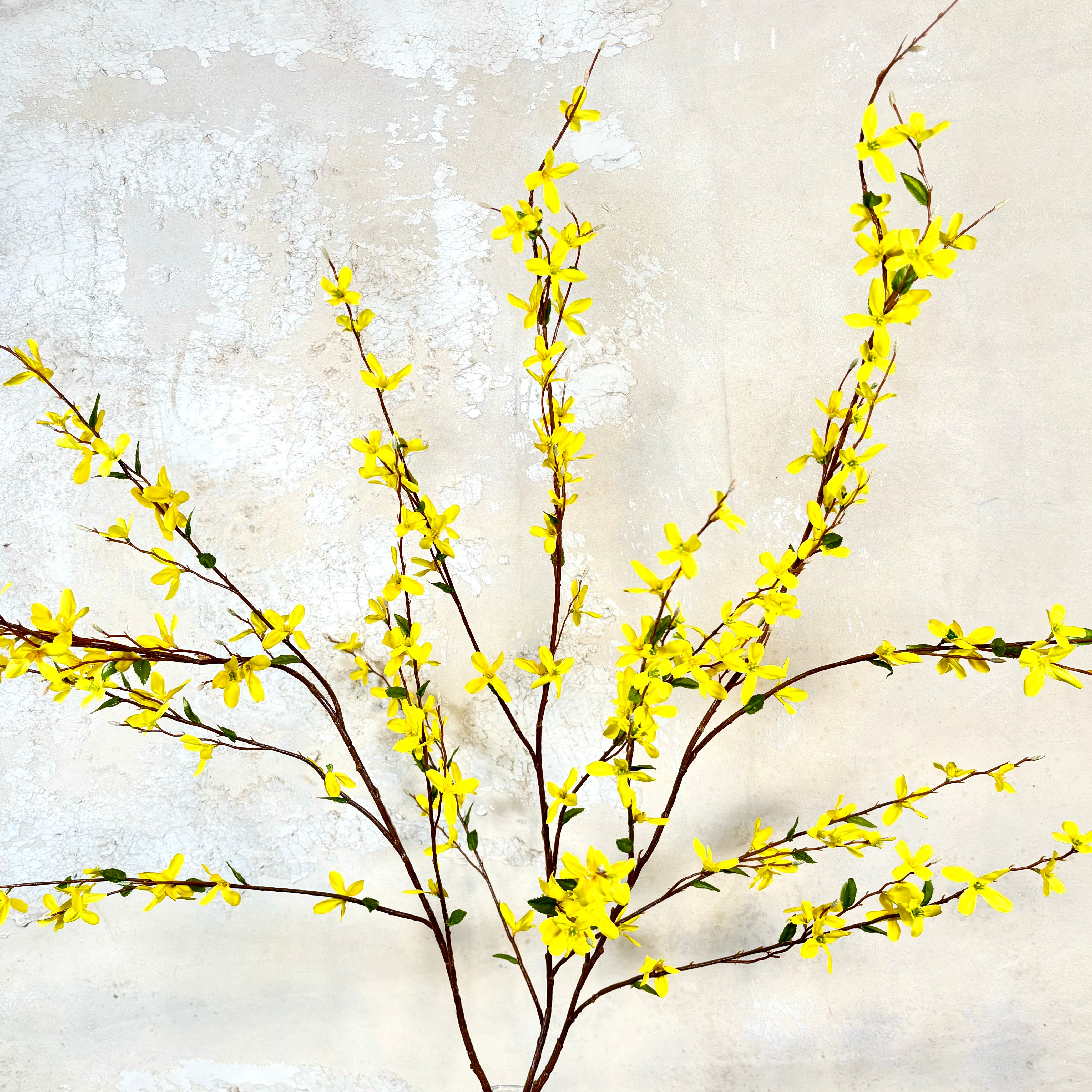 Forsythia Branch Yellow