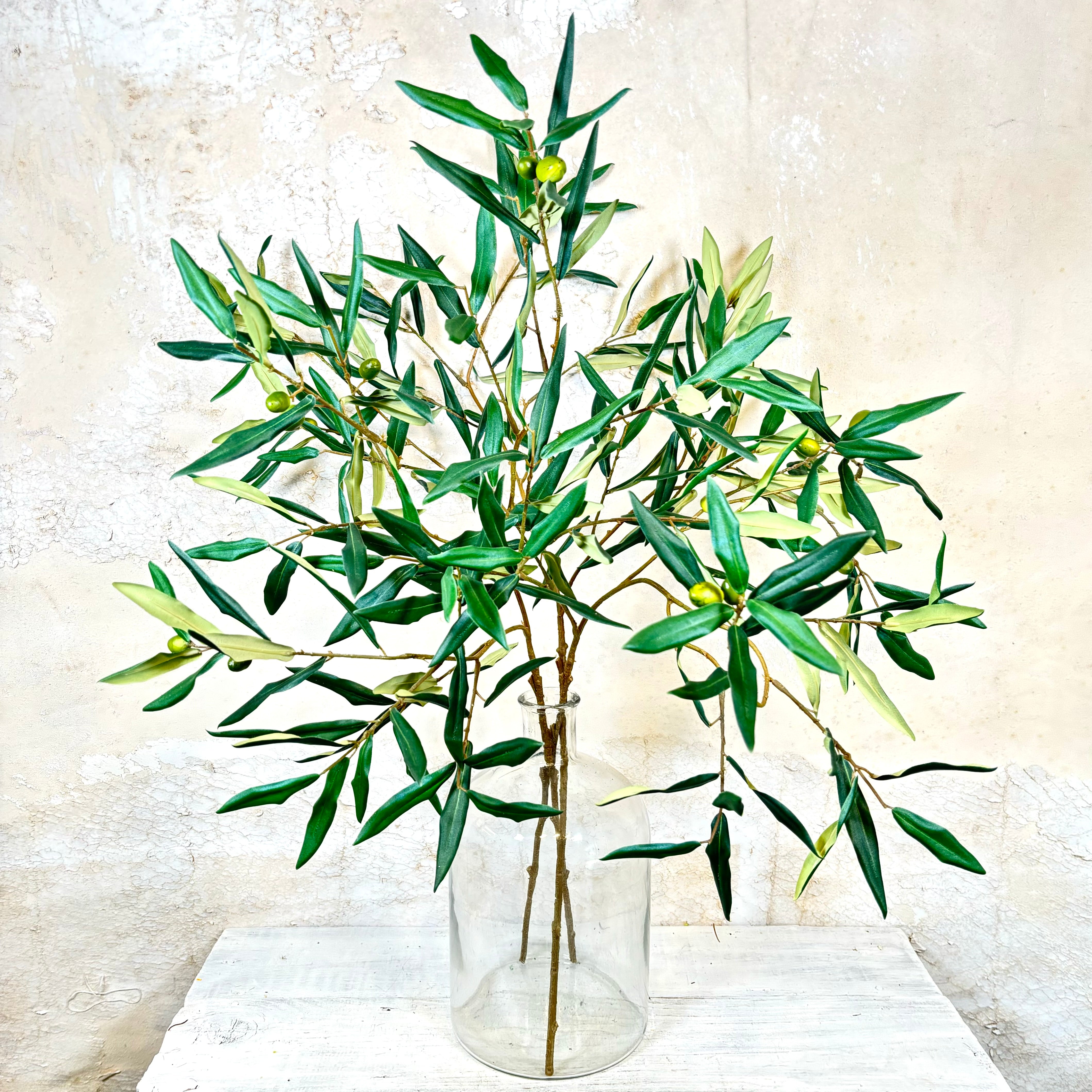 Italian Olive Spray Stem