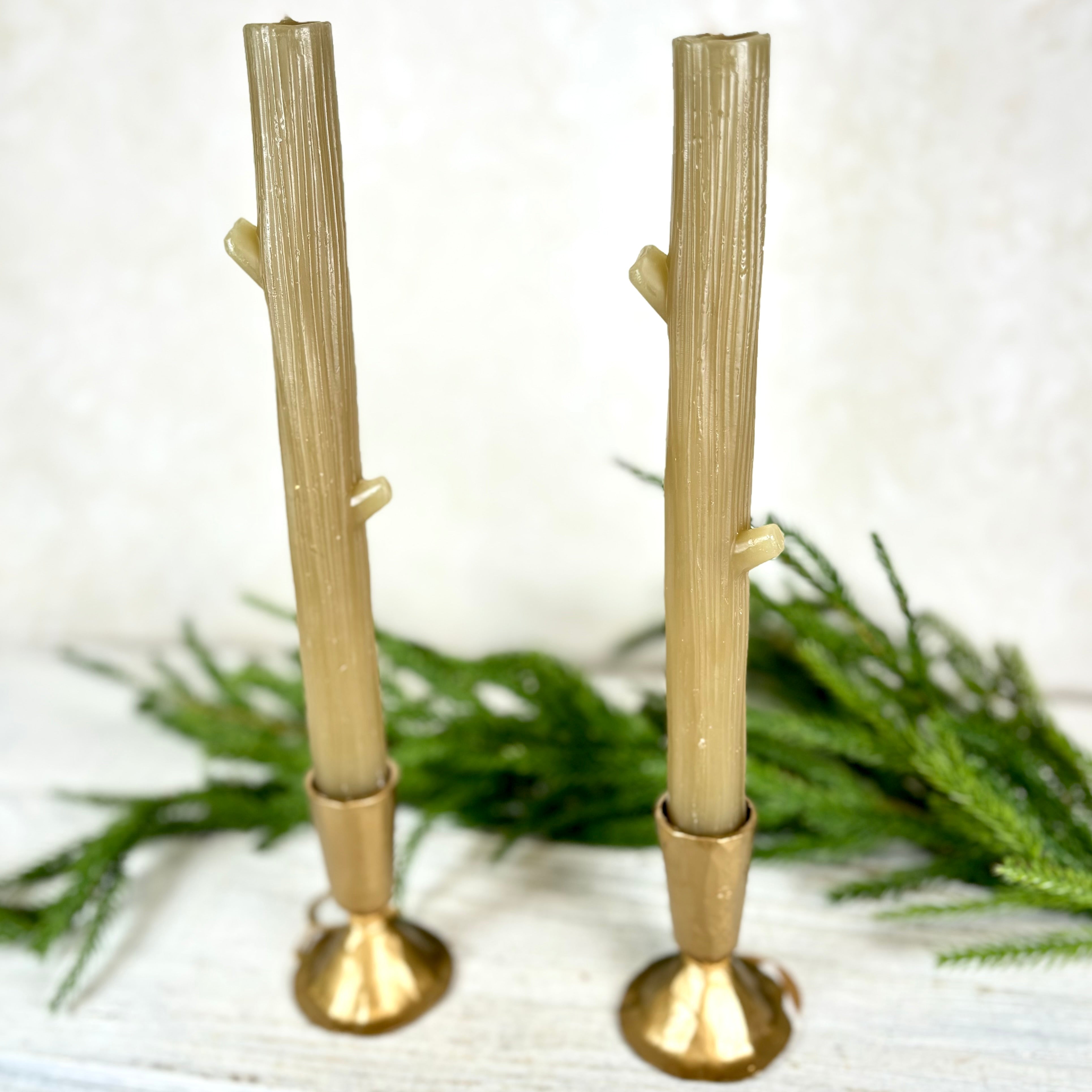 Unscented Green Tree Branch Elongated Candle Box of Two