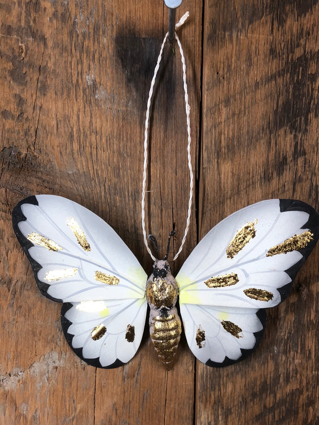 Moth with Gold Markings Paper Mache Ornament