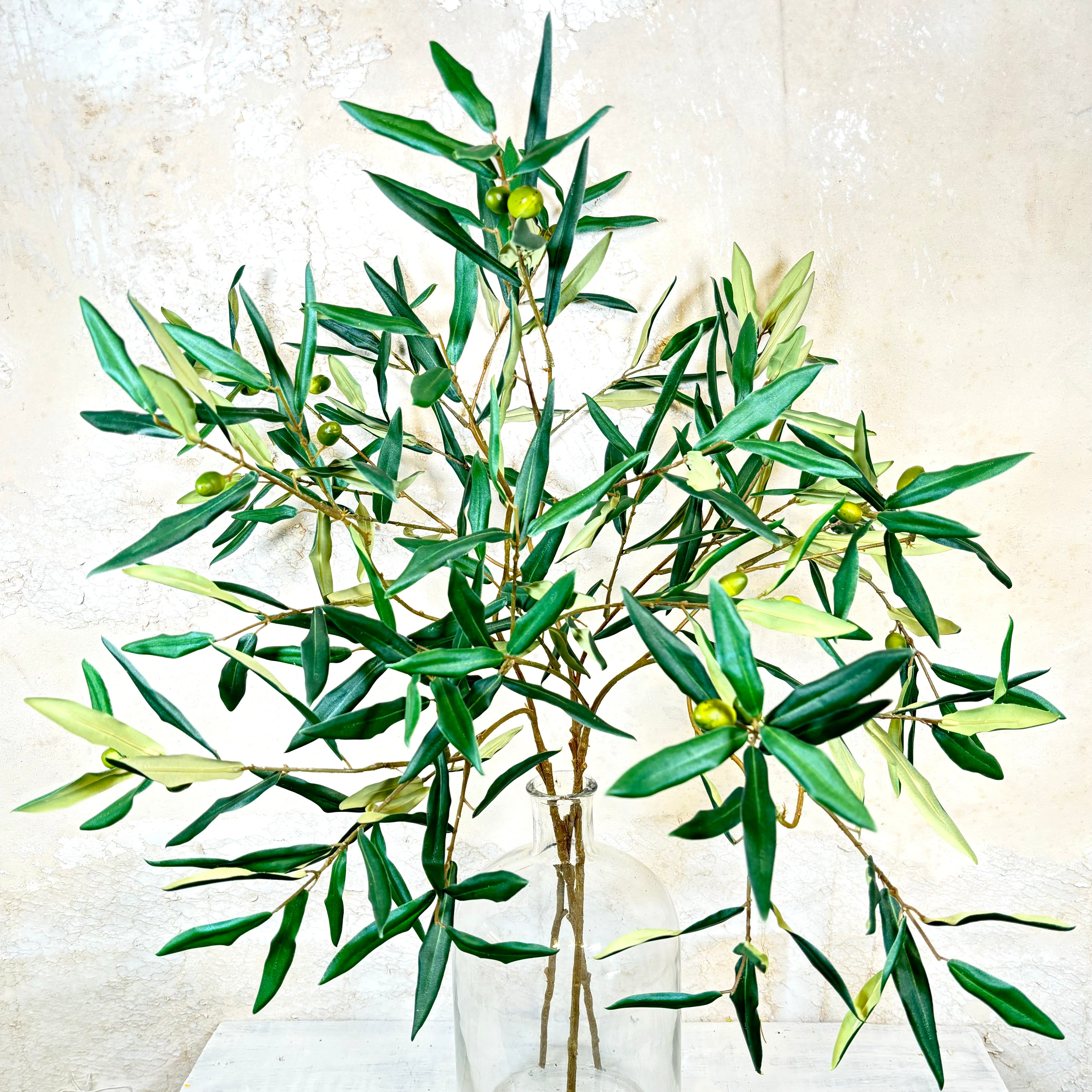 Italian Olive Spray Stem