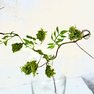 Moss Twig Spray Stem with Green Leaves