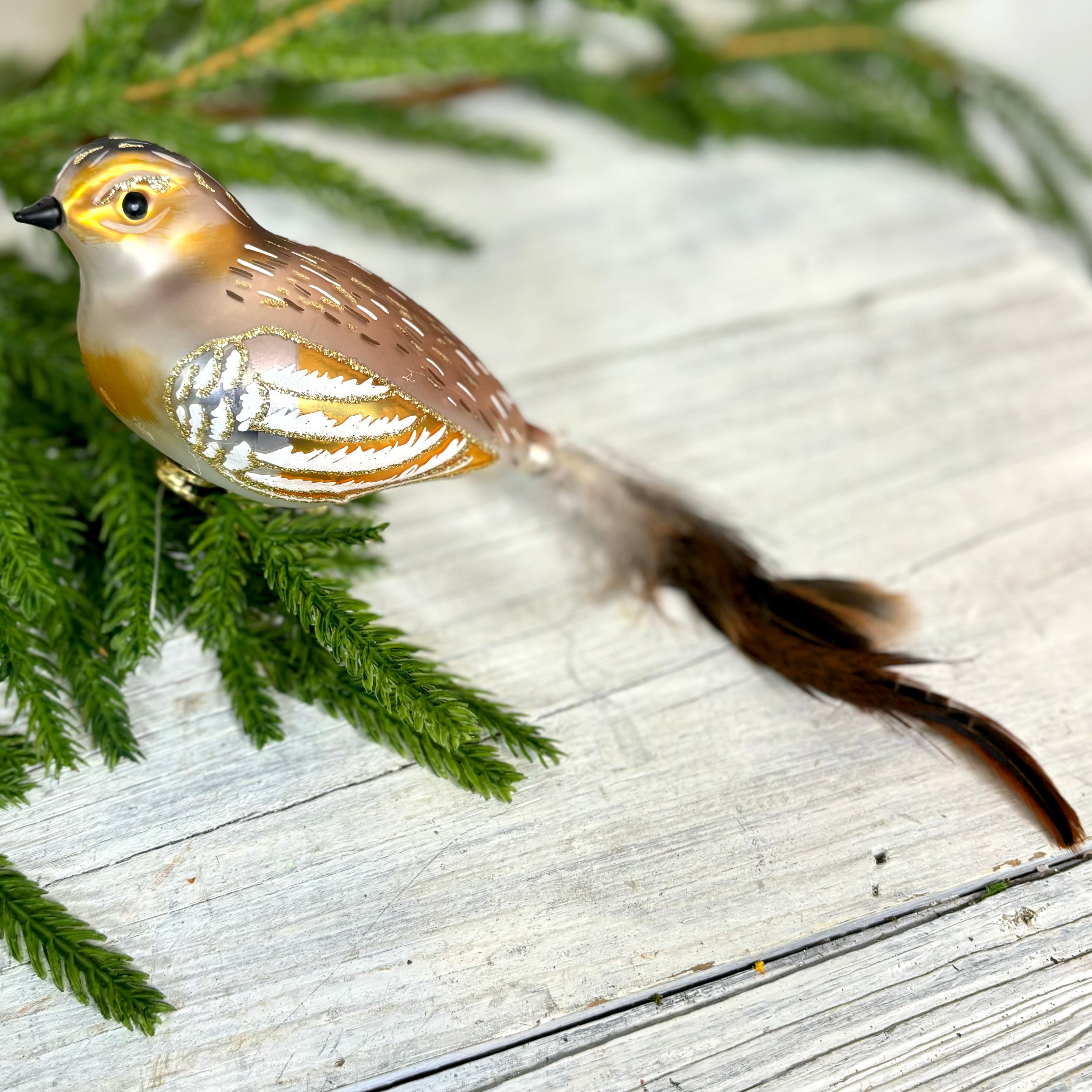 Clip-On Feathered Tail Bird Ornament