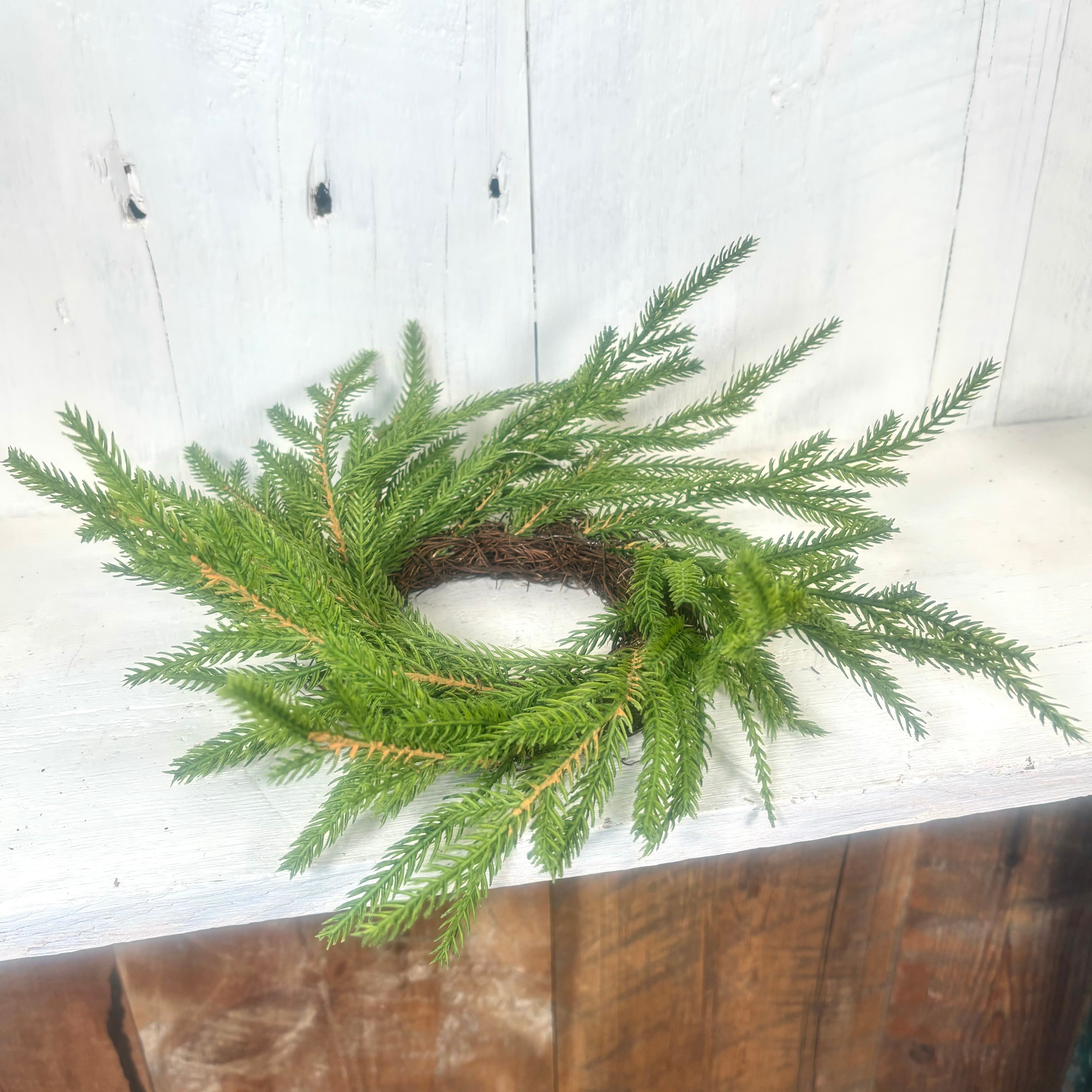 Norfolk Pine Wreath Small