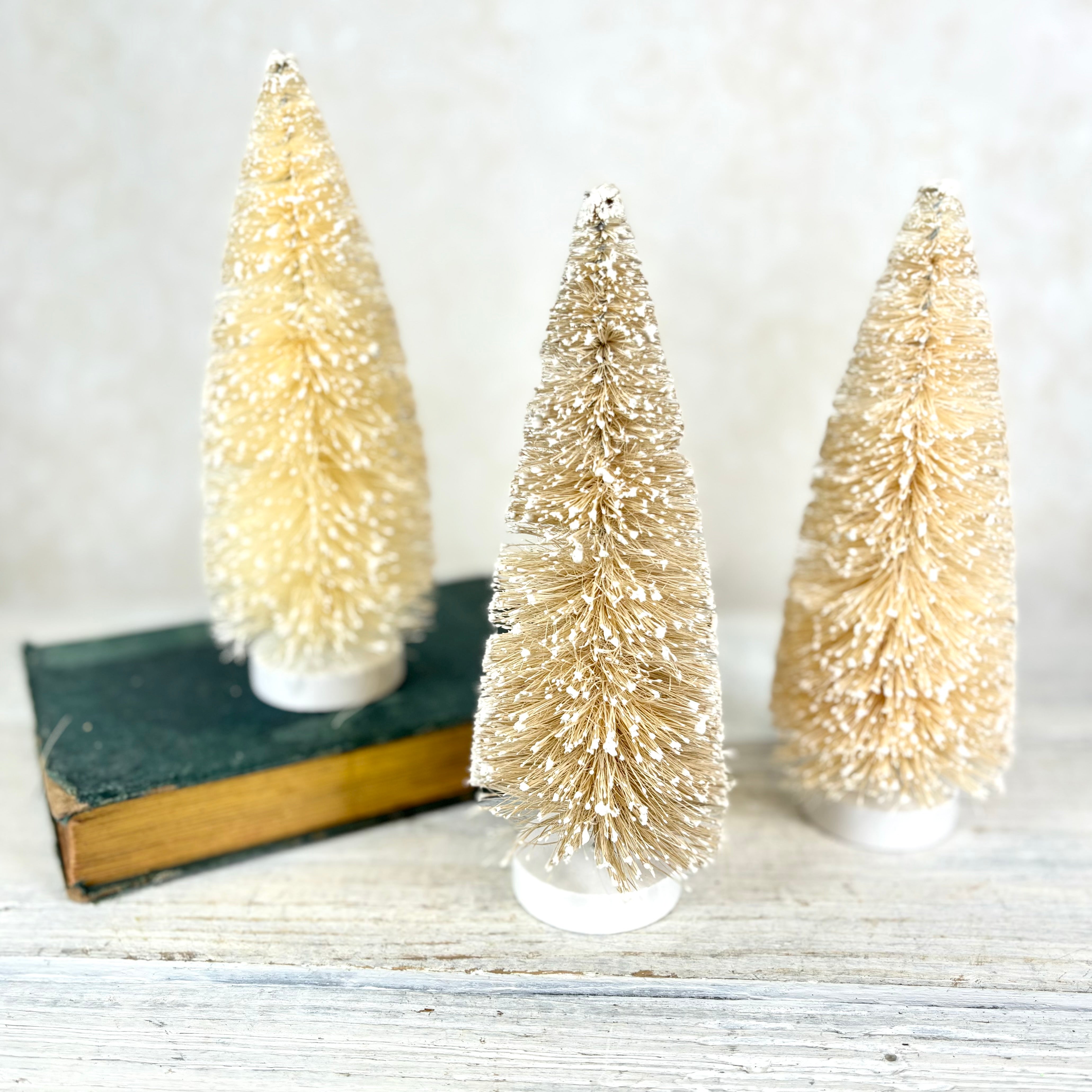 Frosted Natural Bottle Brush Trees Box of Three