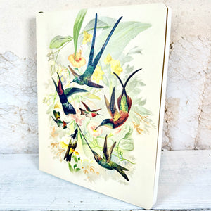 Large Hummingbirds Paperback Journal