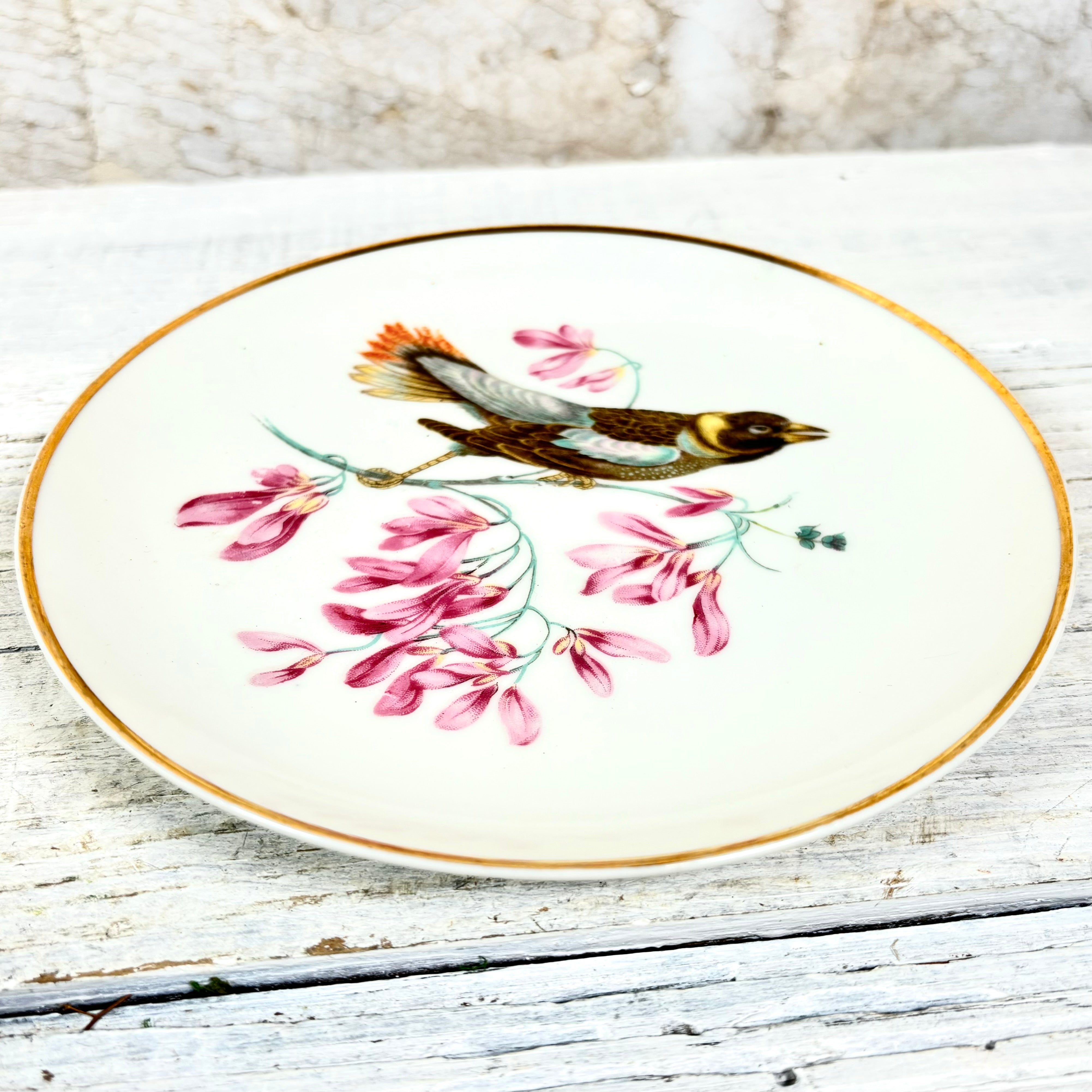 Vintage LM Royal Halsey Porcelain Yellow and Blue Bird Plate