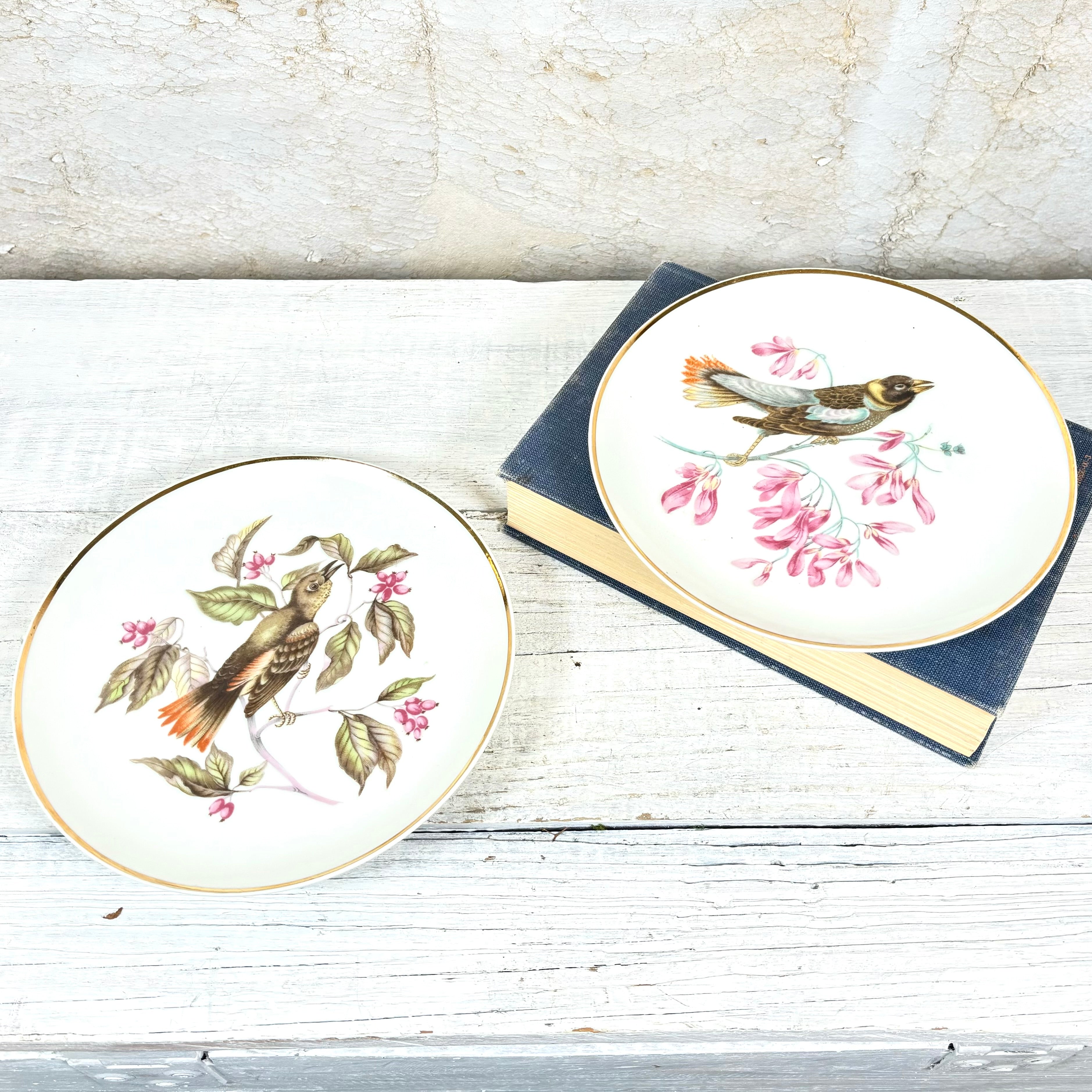 Vintage LM Royal Halsey Porcelain Green and Orange Bird Plate