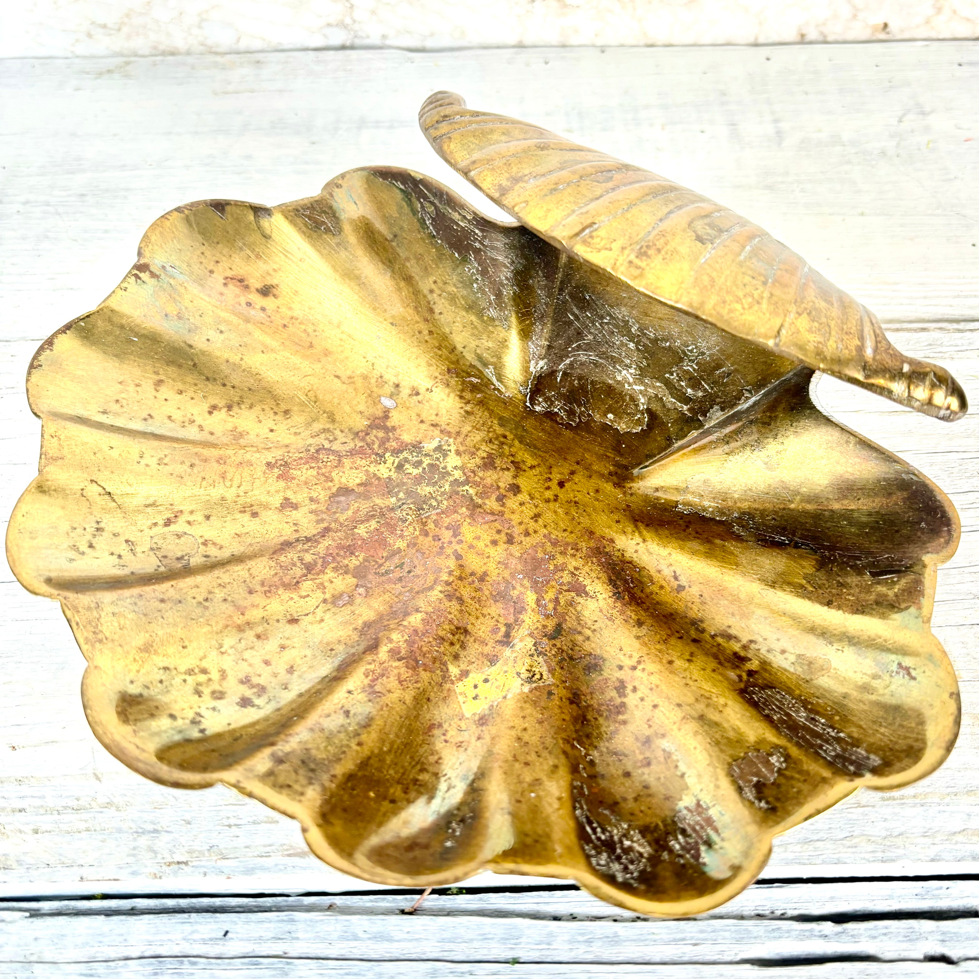 Brass Shell Dish