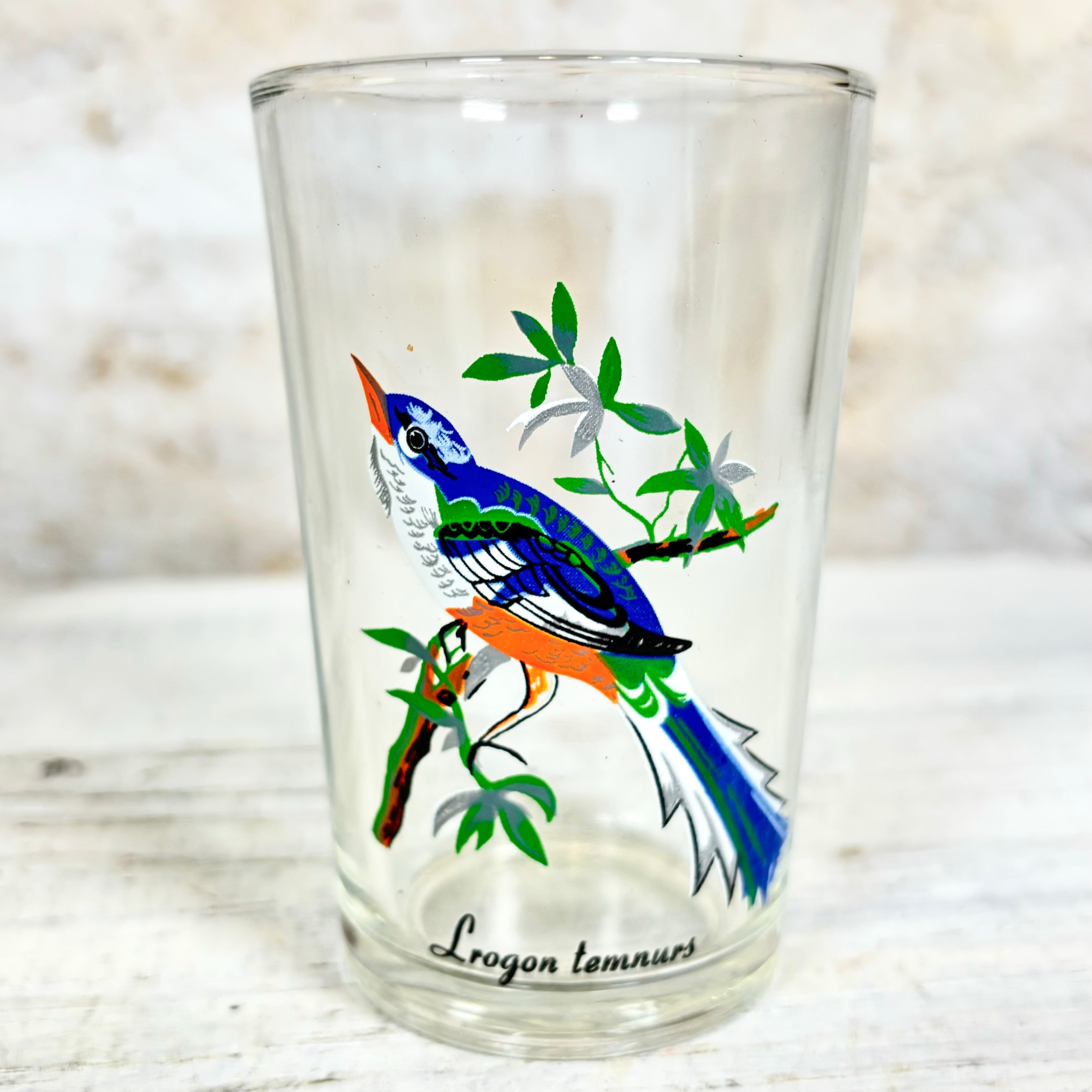 Vintage KIG Malaysia Exotic Bird Glasses Set of Four